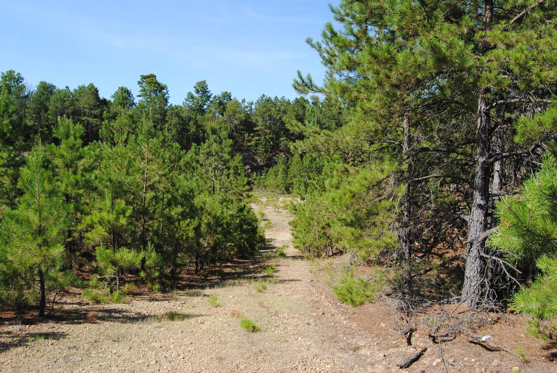 1010 Hwy 254 East Dennard, AR 72629