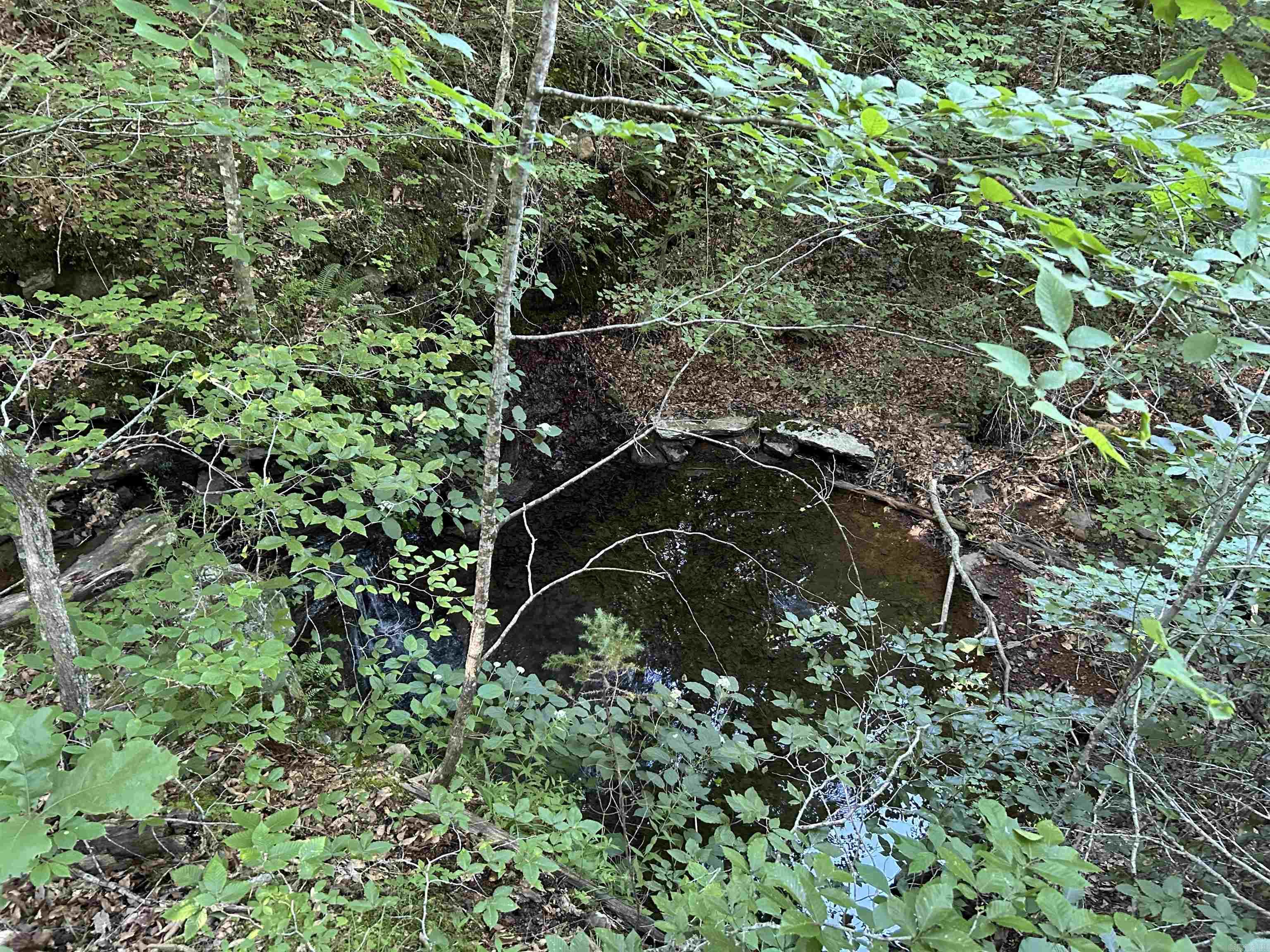 2325  Six Ridge  Drasco, AR
