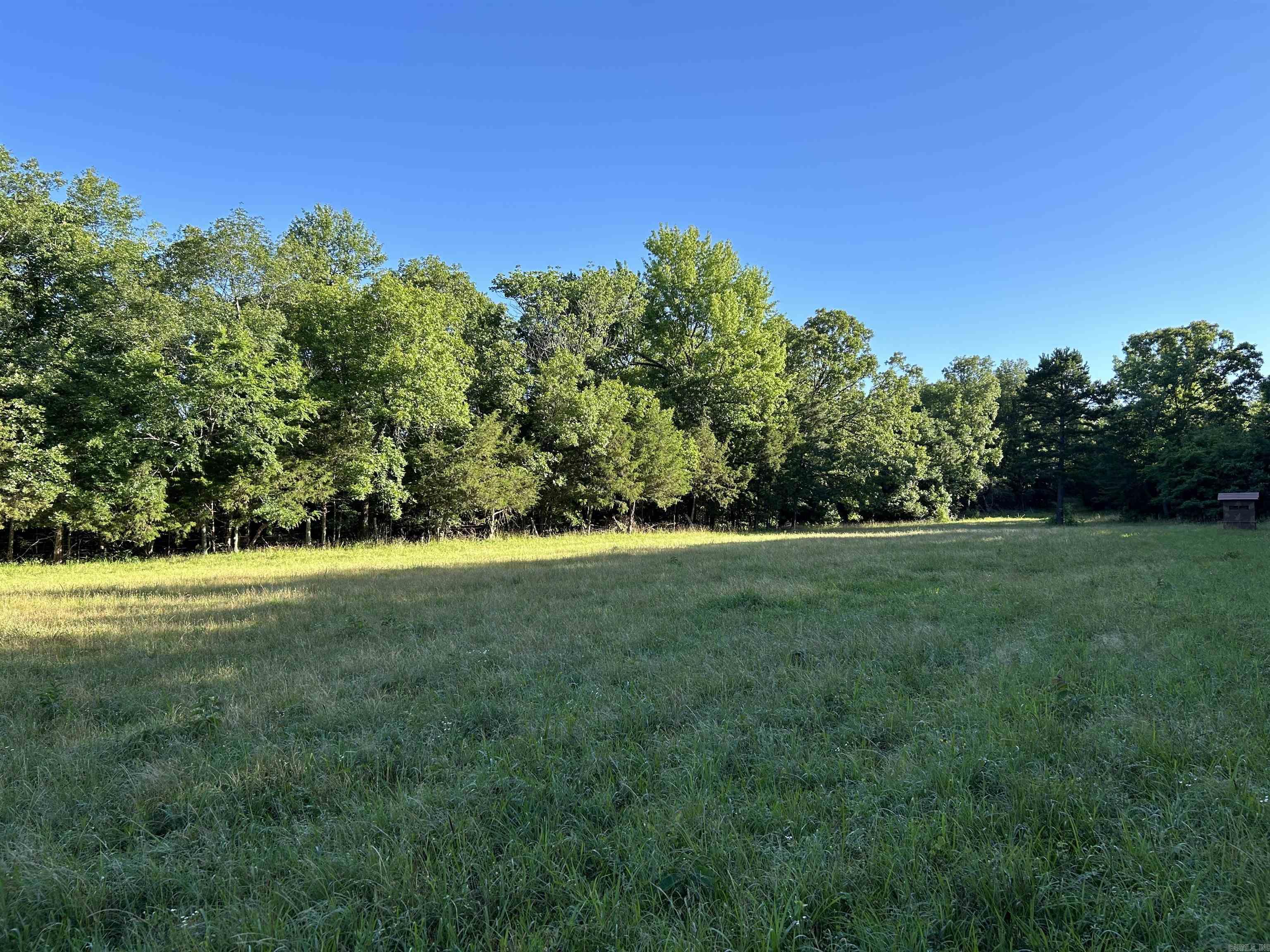 2325  Six Ridge  Drasco, AR