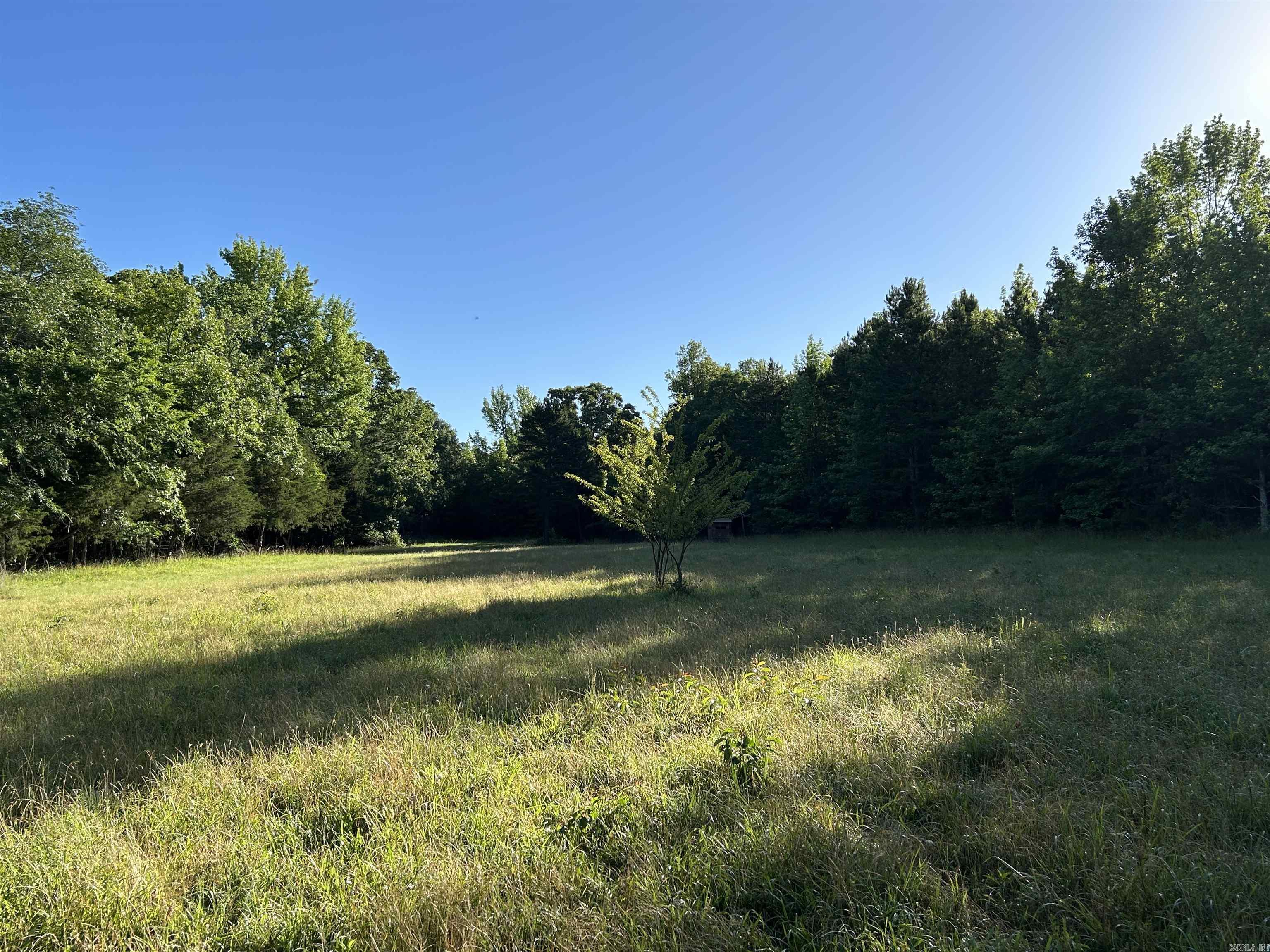 2325  Six Ridge  Drasco, AR
