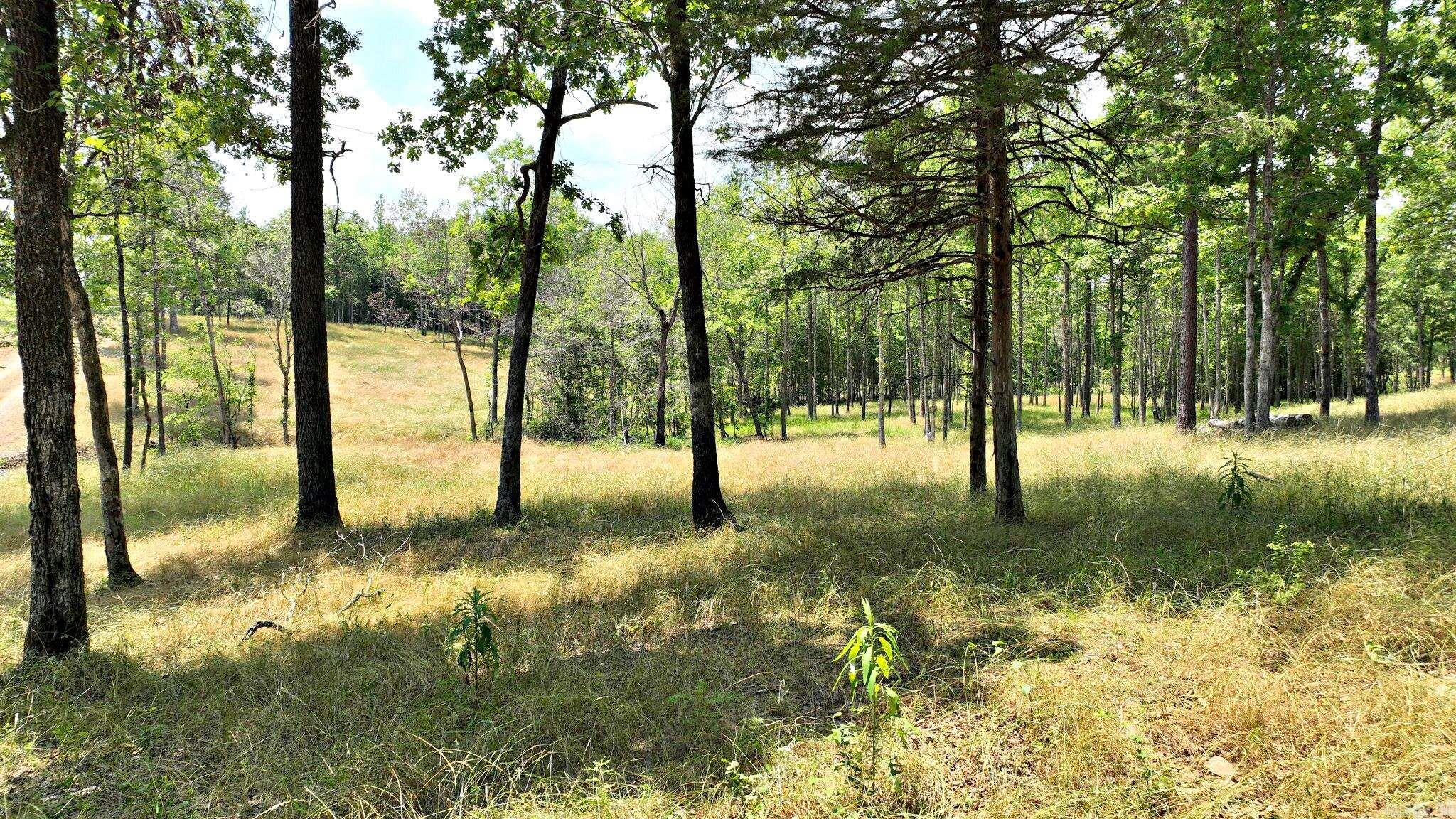 TBD, Tract 4 Polk Road 158