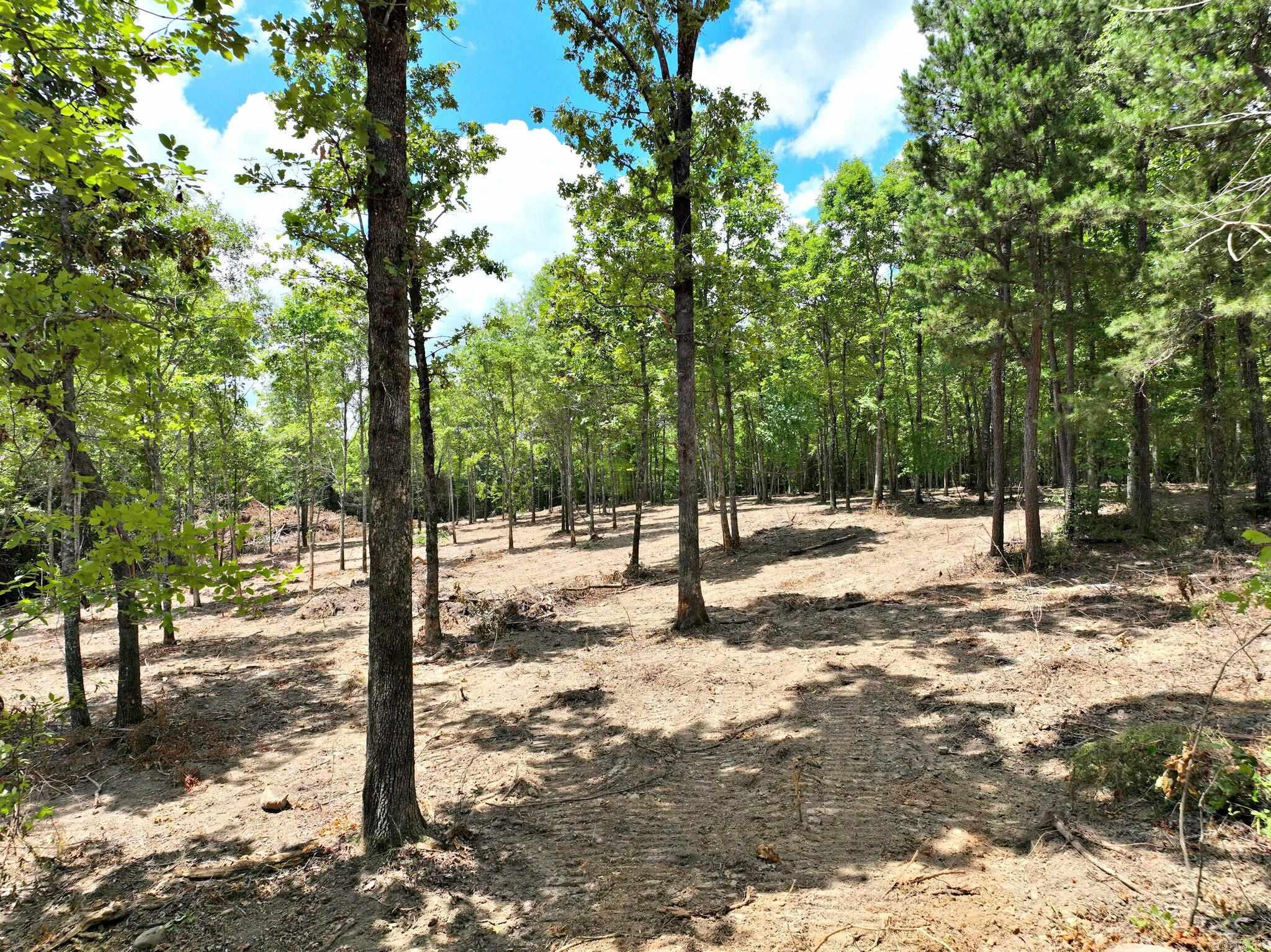 TBD, Tract 4  Polk Road 158  Mena, AR