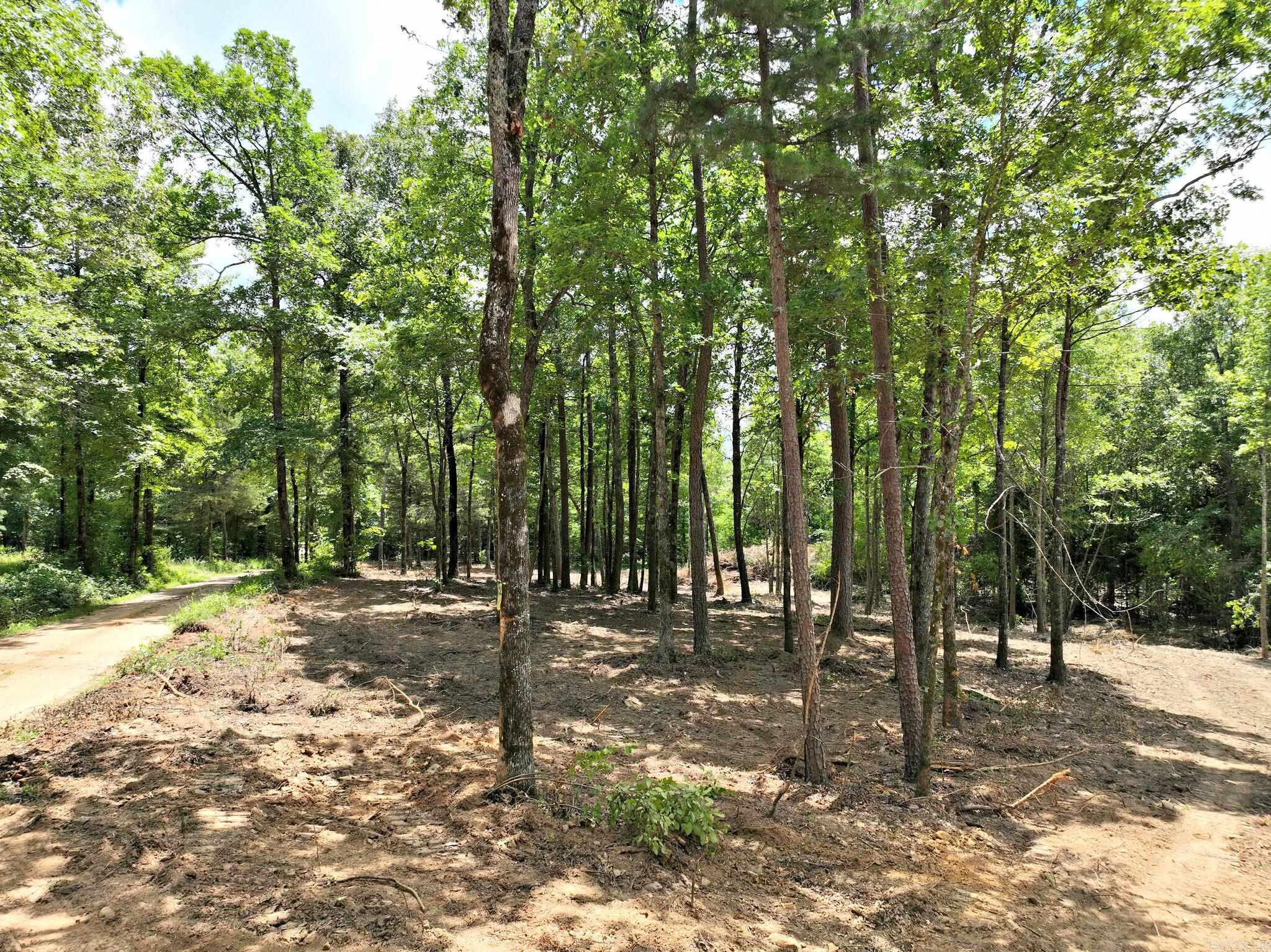 TBD, Tract 4  Polk Road 158  Mena, AR