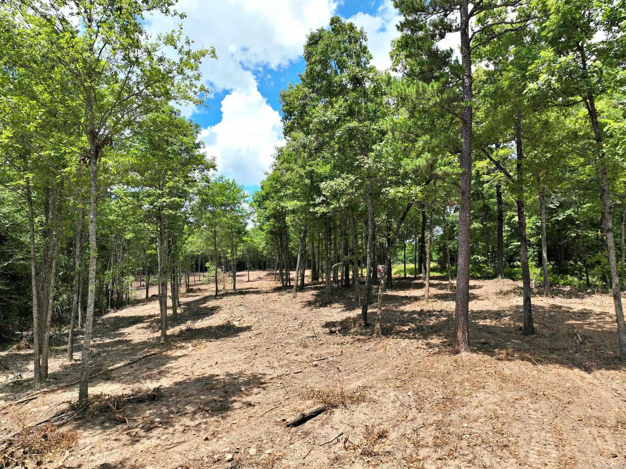 TBD, Tract 4  Polk Road 158  Mena, AR