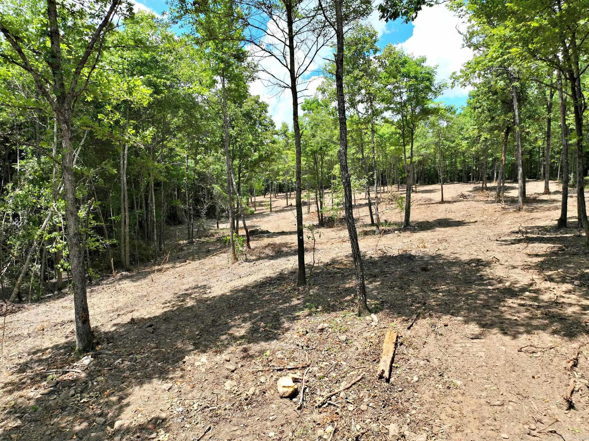 TBD, Tract 4  Polk Road 158  Mena, AR