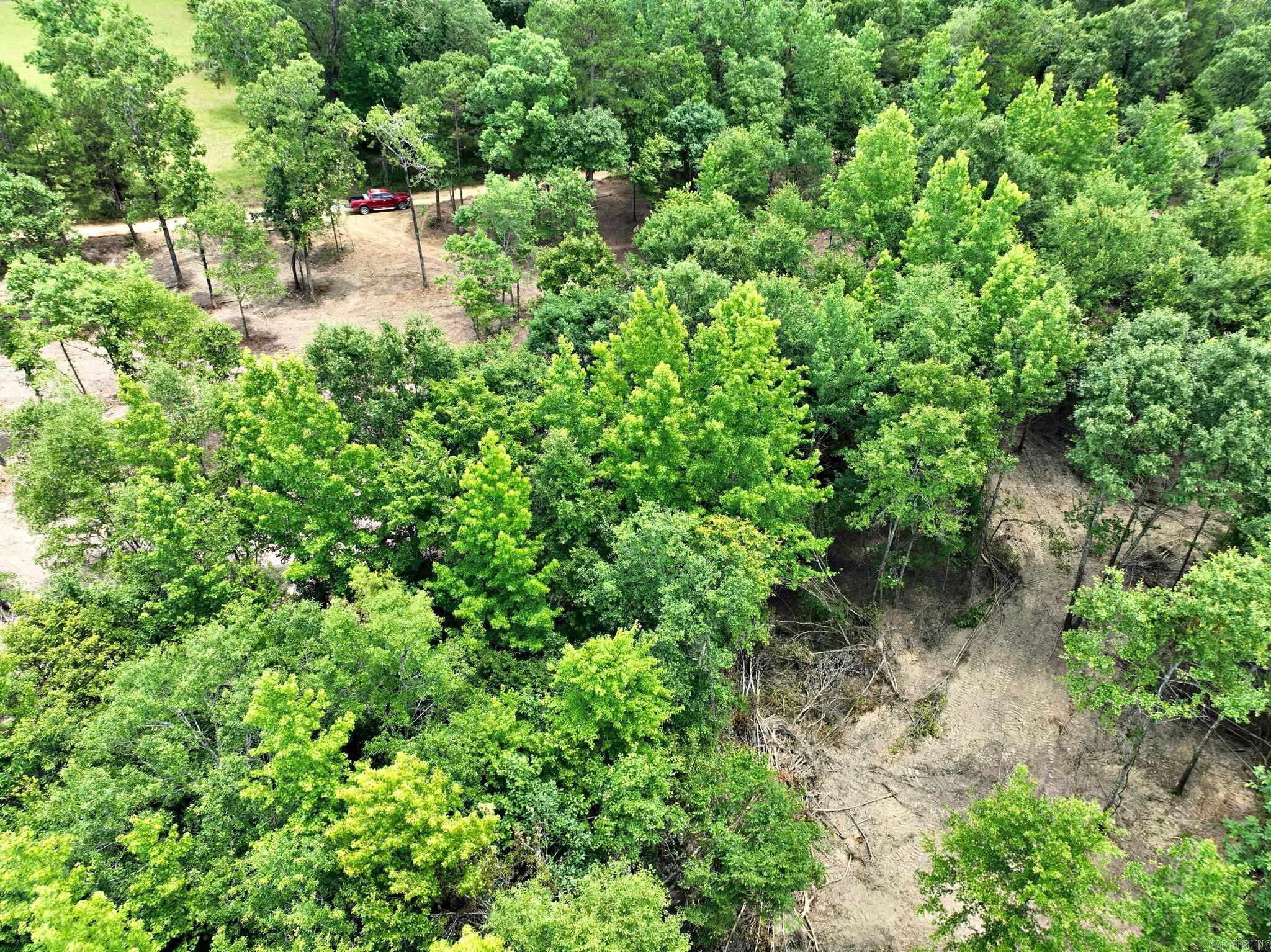 TBD, Tract 4  Polk Road 158  Mena, AR