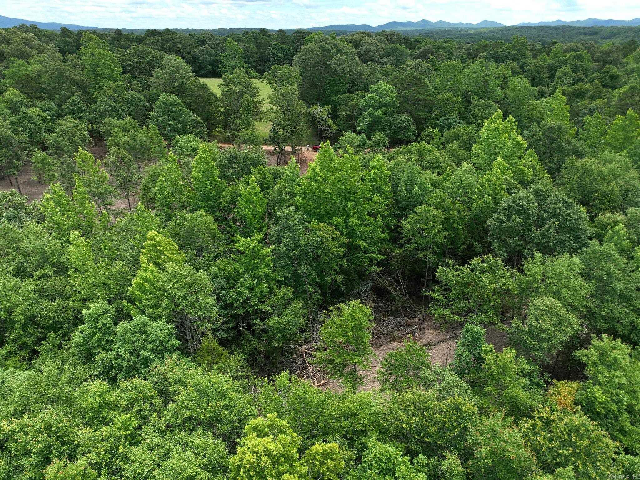 TBD, Tract 4  Polk Road 158  Mena, AR