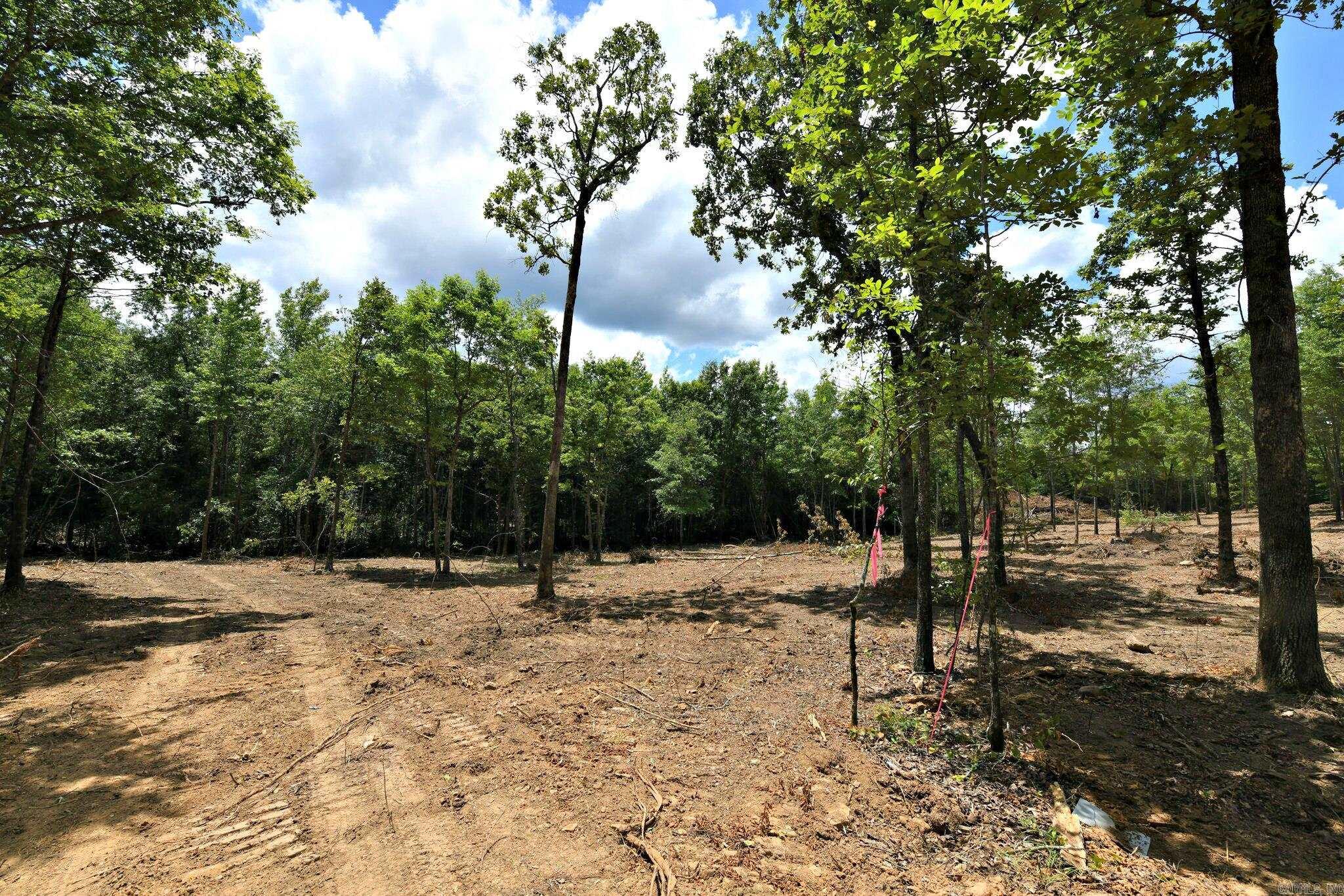 TBD, Tract 4  Polk Road 158  Mena, AR