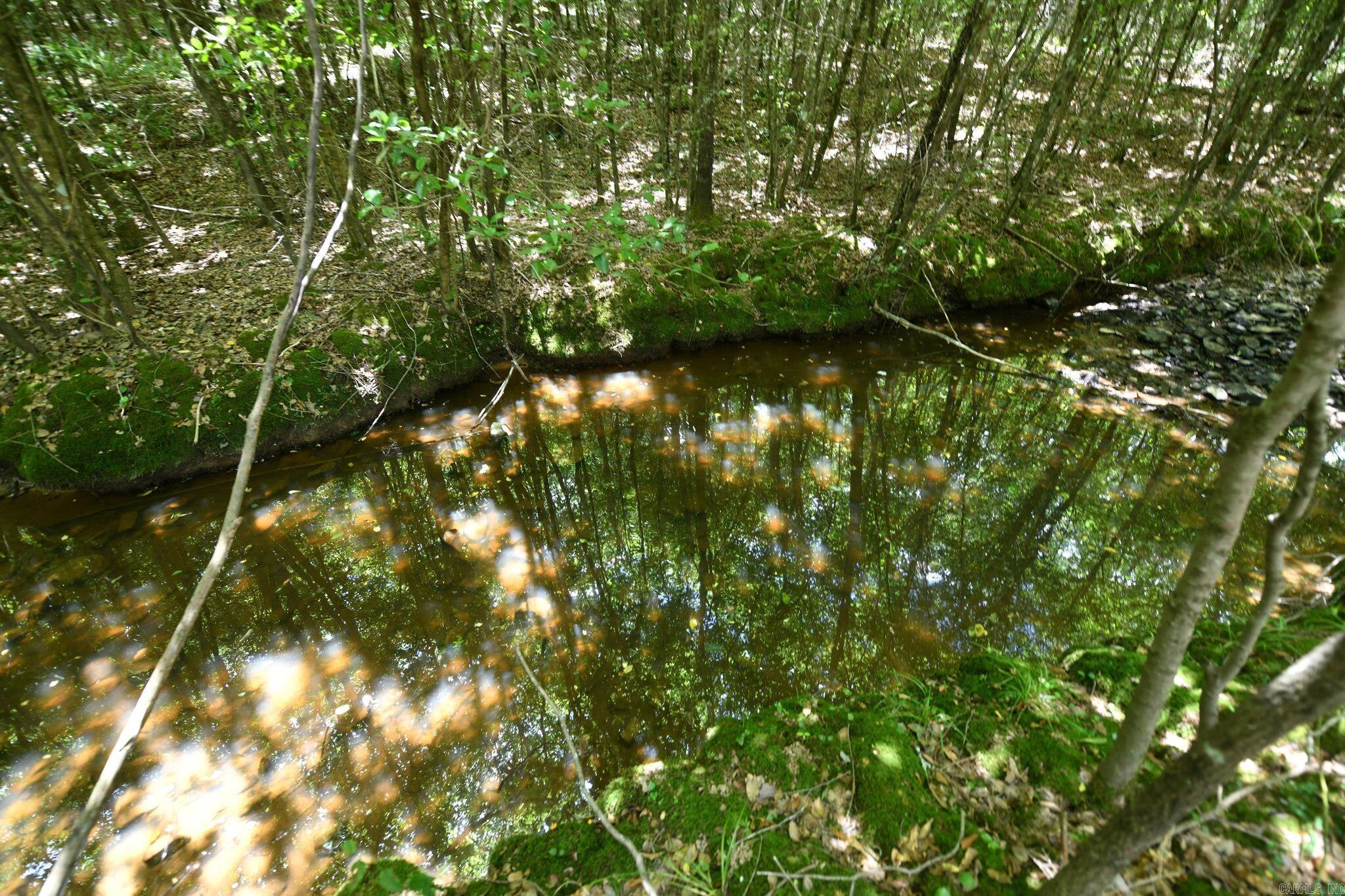 TBD, Tract 4  Polk Road 158  Mena, AR