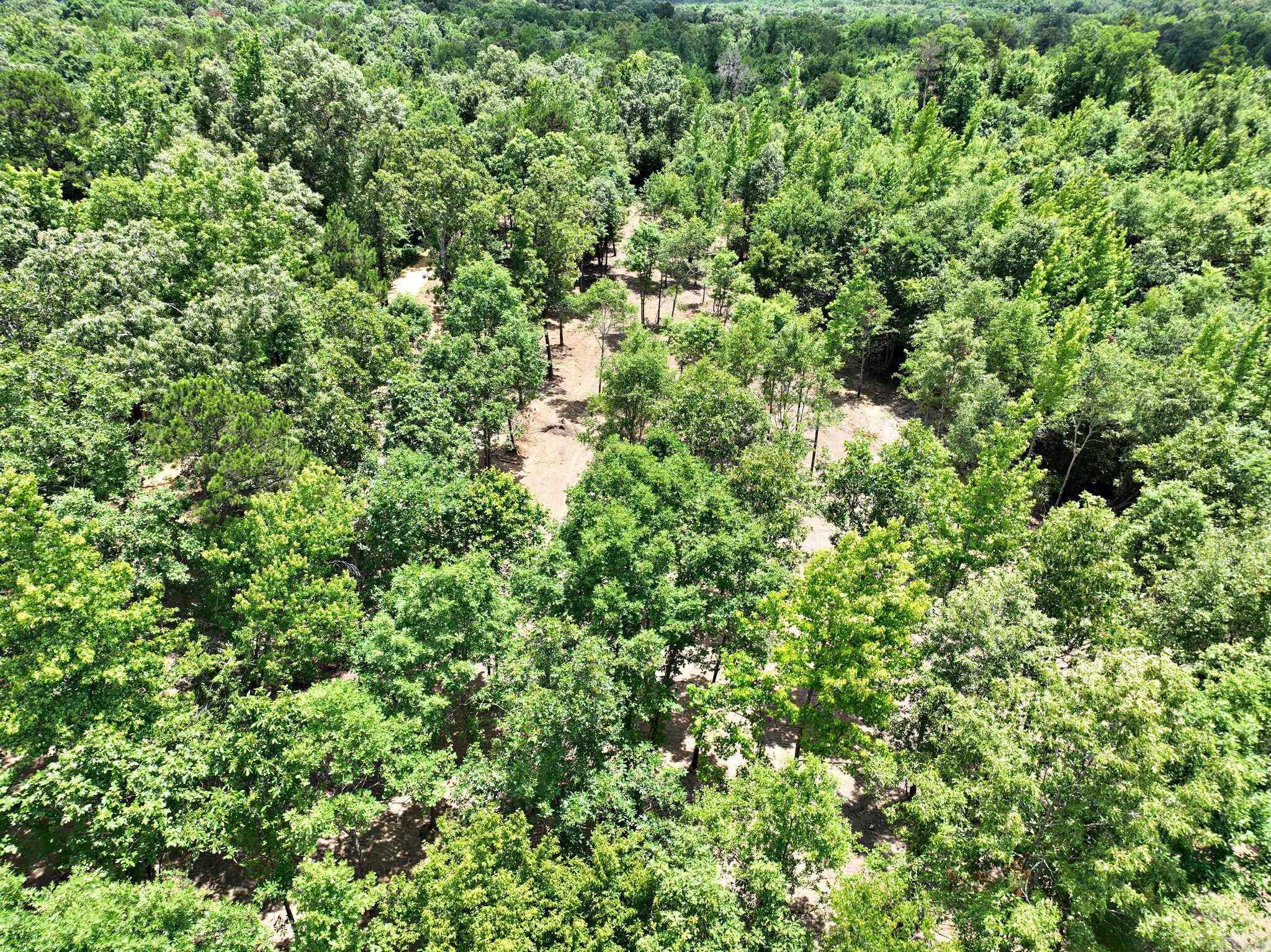 TBD, Tract 4  Polk Road 158  Mena, AR