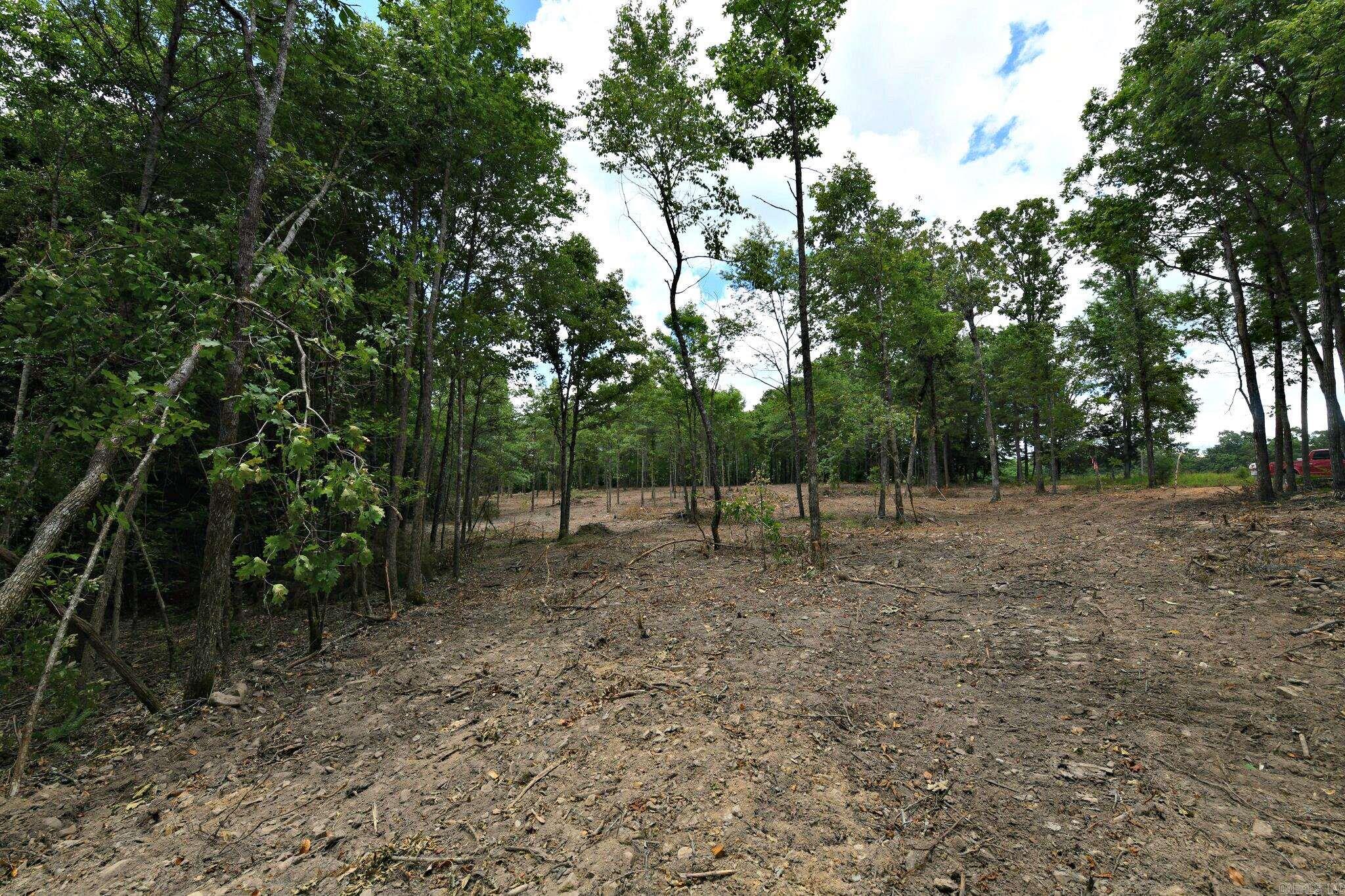TBD, Tract 4  Polk Road 158  Mena, AR