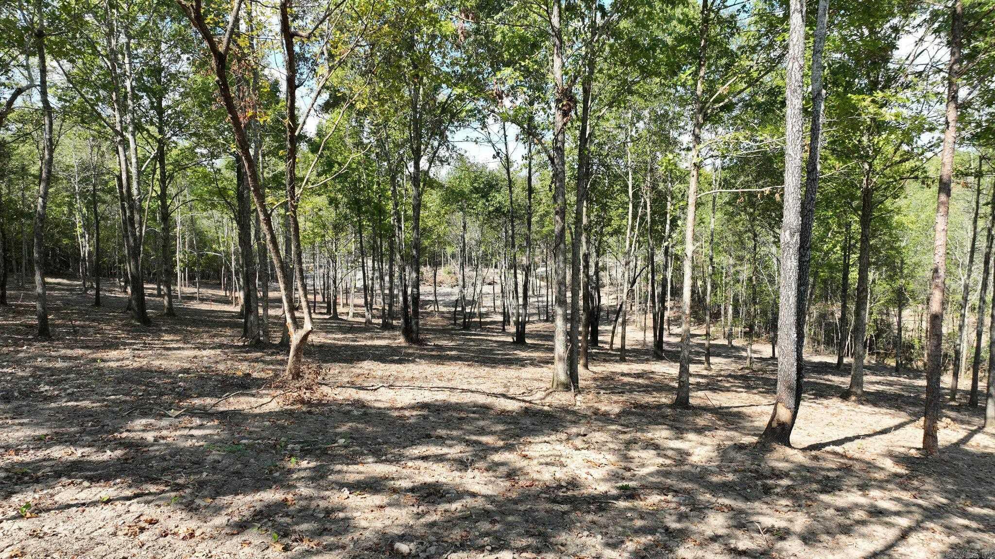 TBD, Tract 4  Polk Road 158  Mena, AR