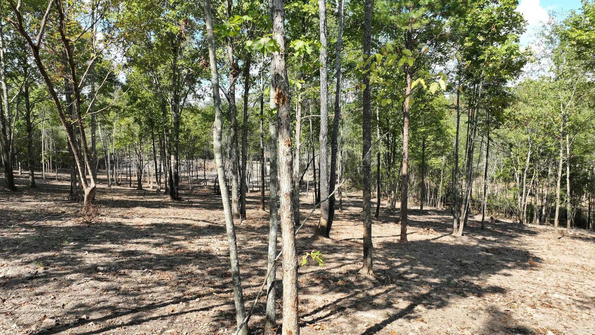 TBD, Tract 4  Polk Road 158  Mena, AR