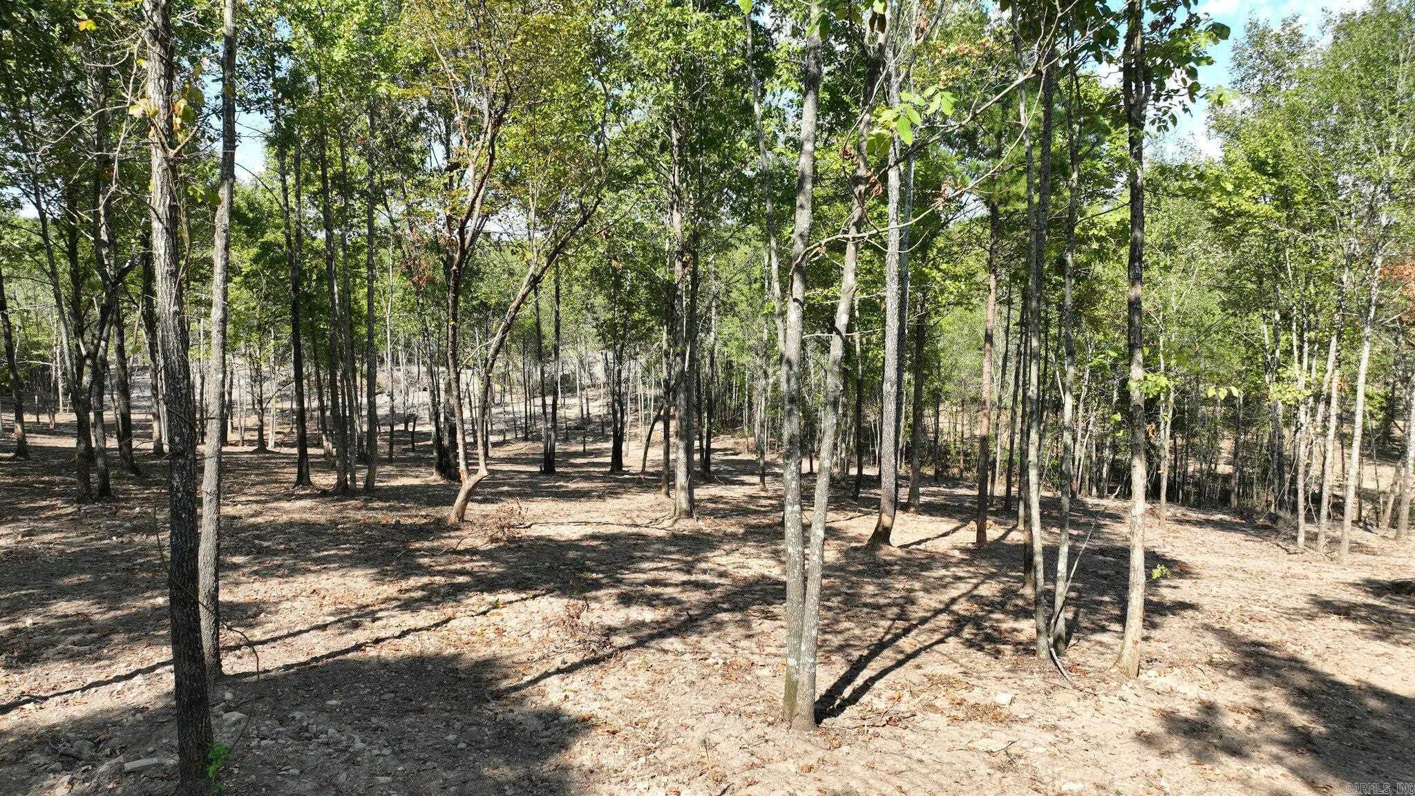 TBD, Tract 4  Polk Road 158  Mena, AR