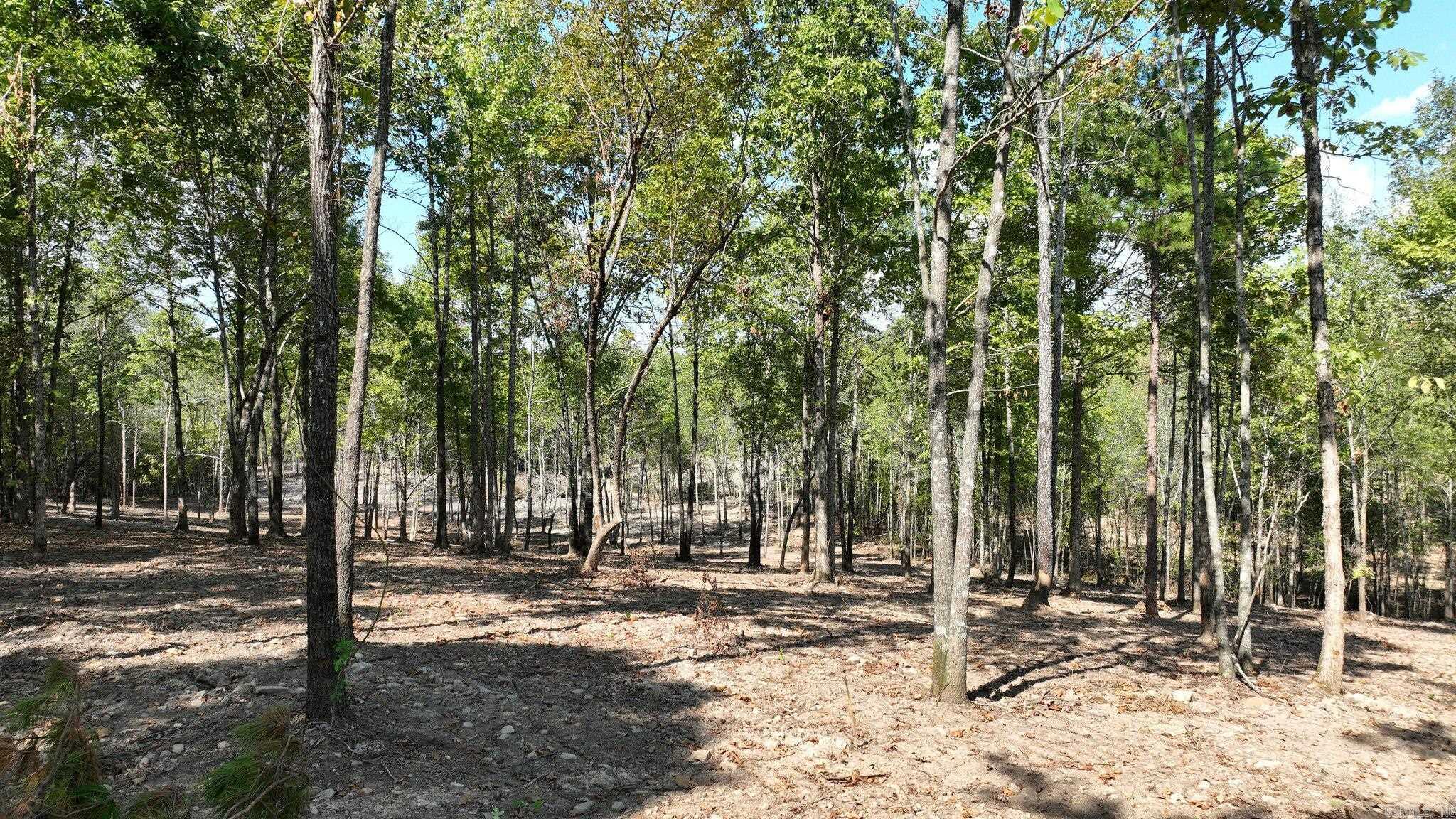 TBD, Tract 4  Polk Road 158  Mena, AR