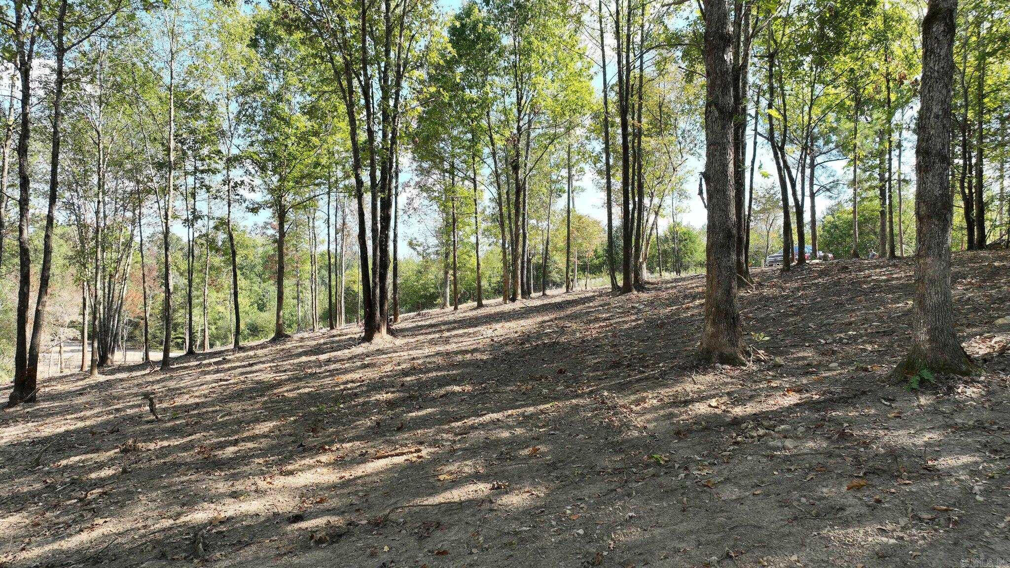 TBD, Tract 4  Polk Road 158  Mena, AR