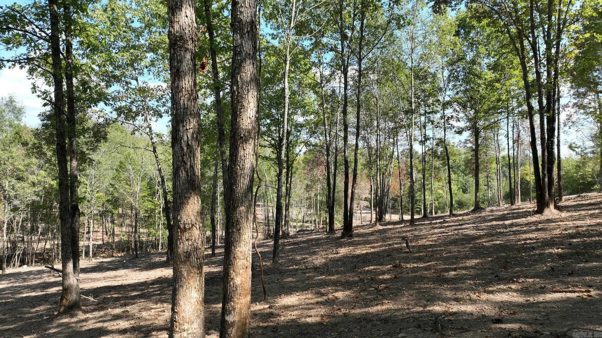TBD, Tract 4  Polk Road 158  Mena, AR