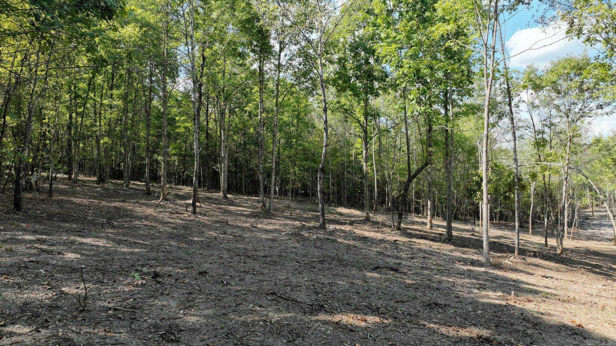 TBD, Tract 4  Polk Road 158  Mena, AR