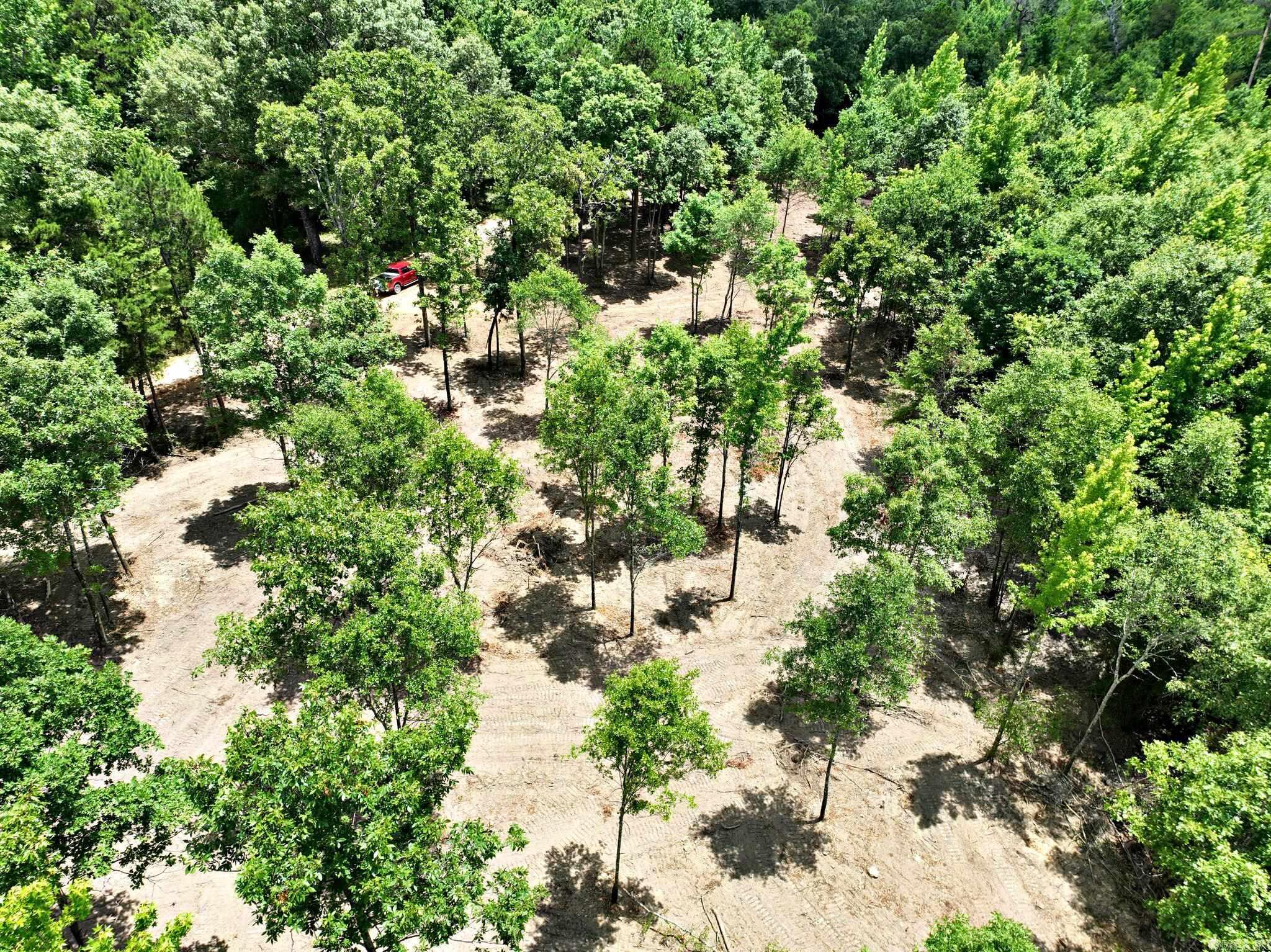 TBD, Tract 4  Polk Road 158  Mena, AR