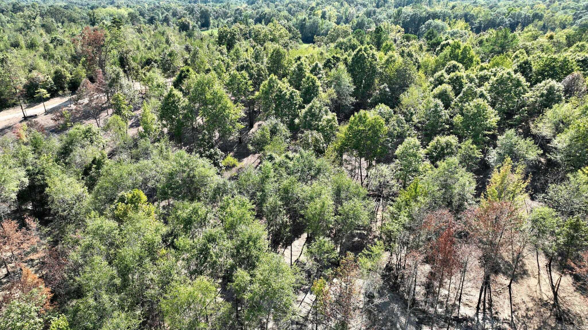 TBD, Tract 4  Polk Road 158  Mena, AR