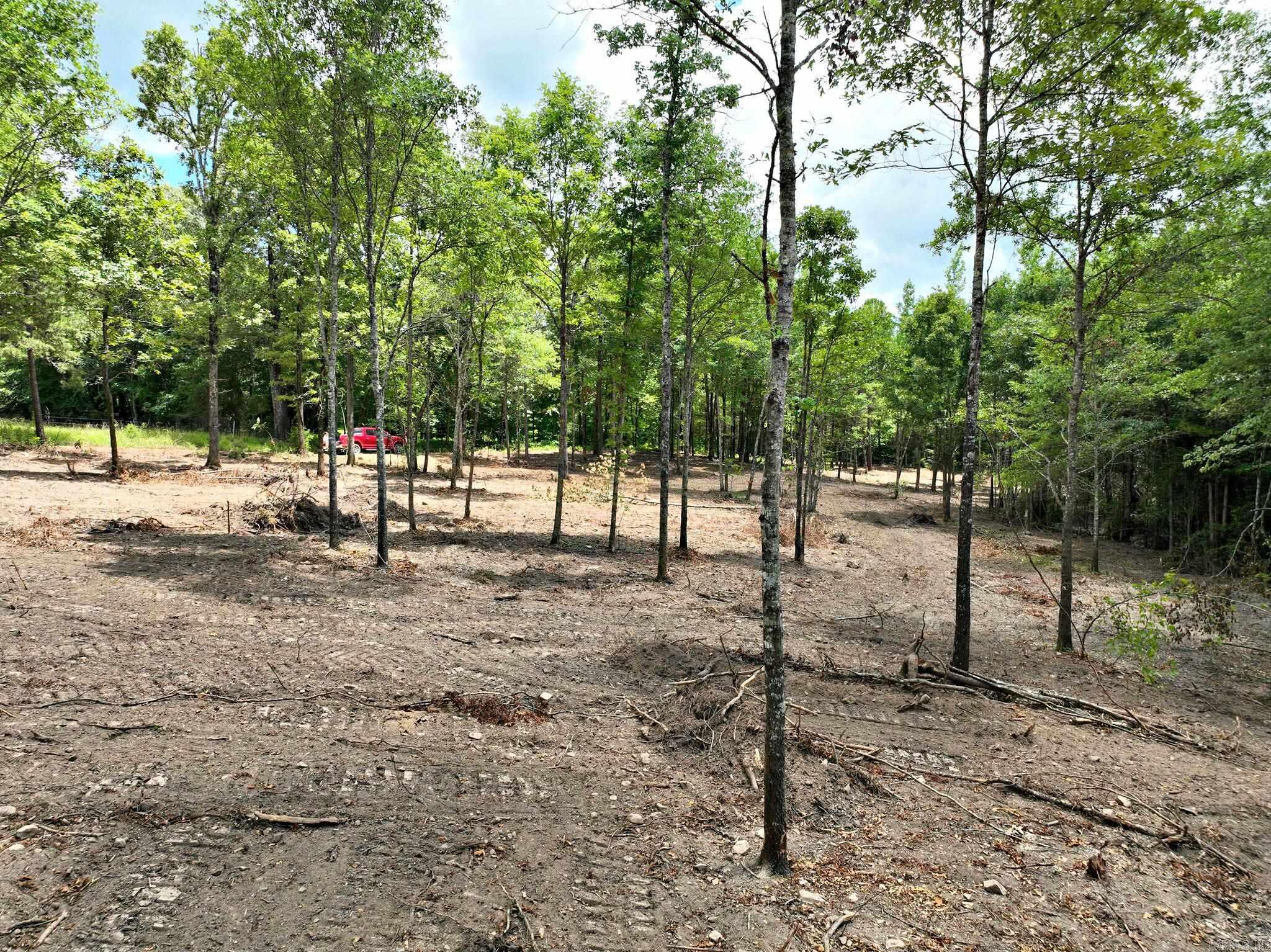 TBD, Tract 4  Polk Road 158  Mena, AR