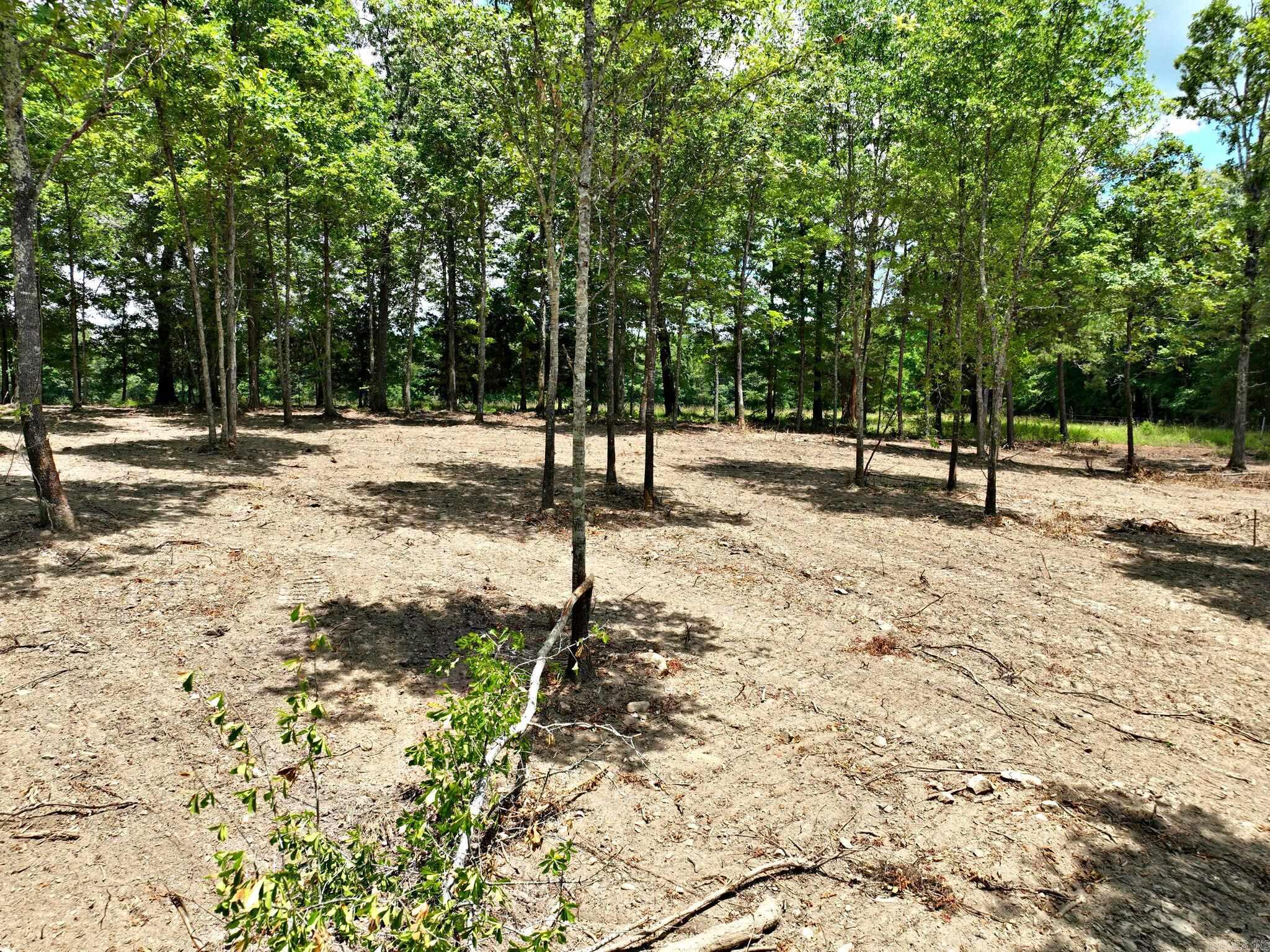 TBD, Tract 4  Polk Road 158  Mena, AR