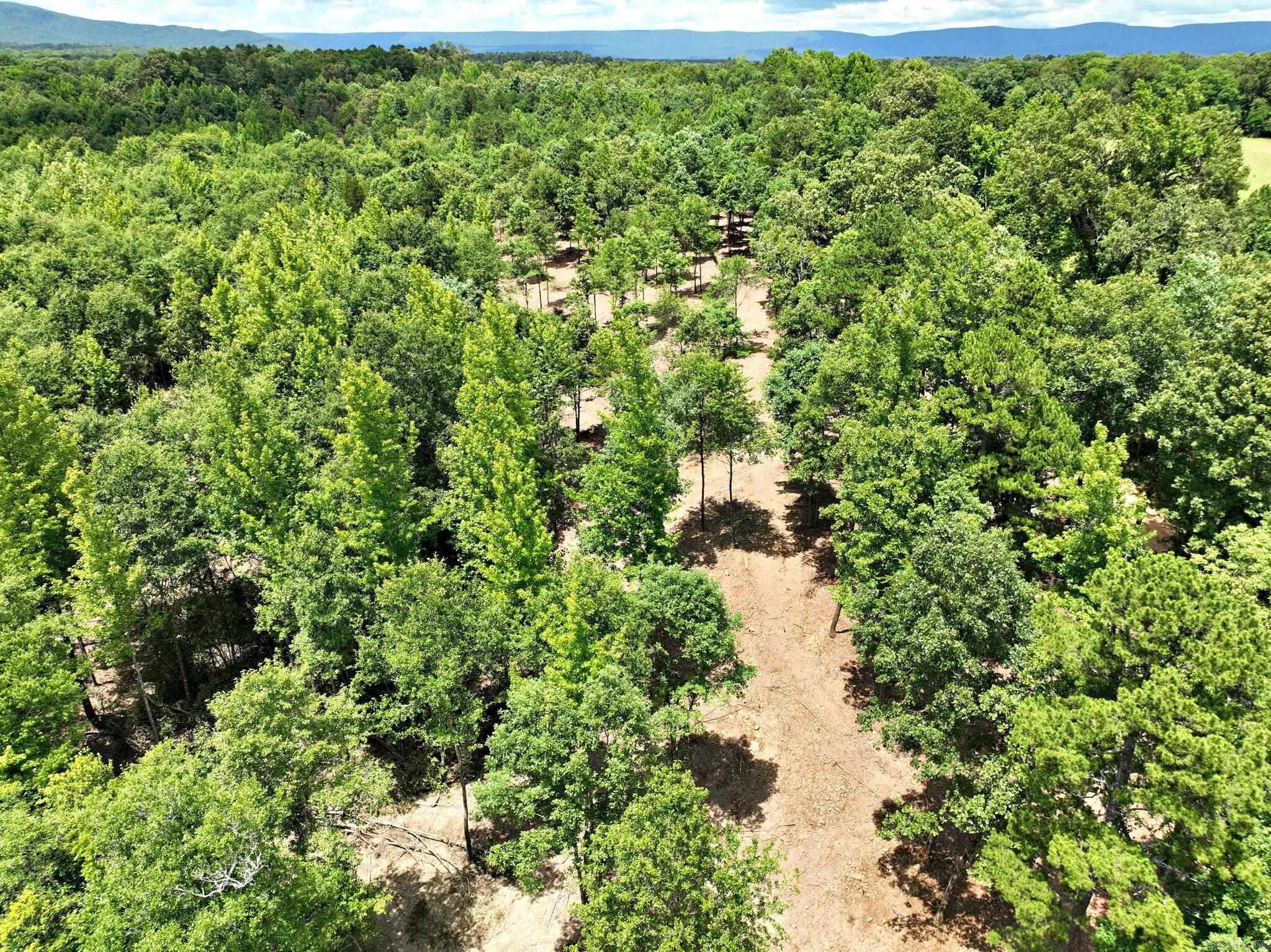 TBD, Tract 4  Polk Road 158  Mena, AR