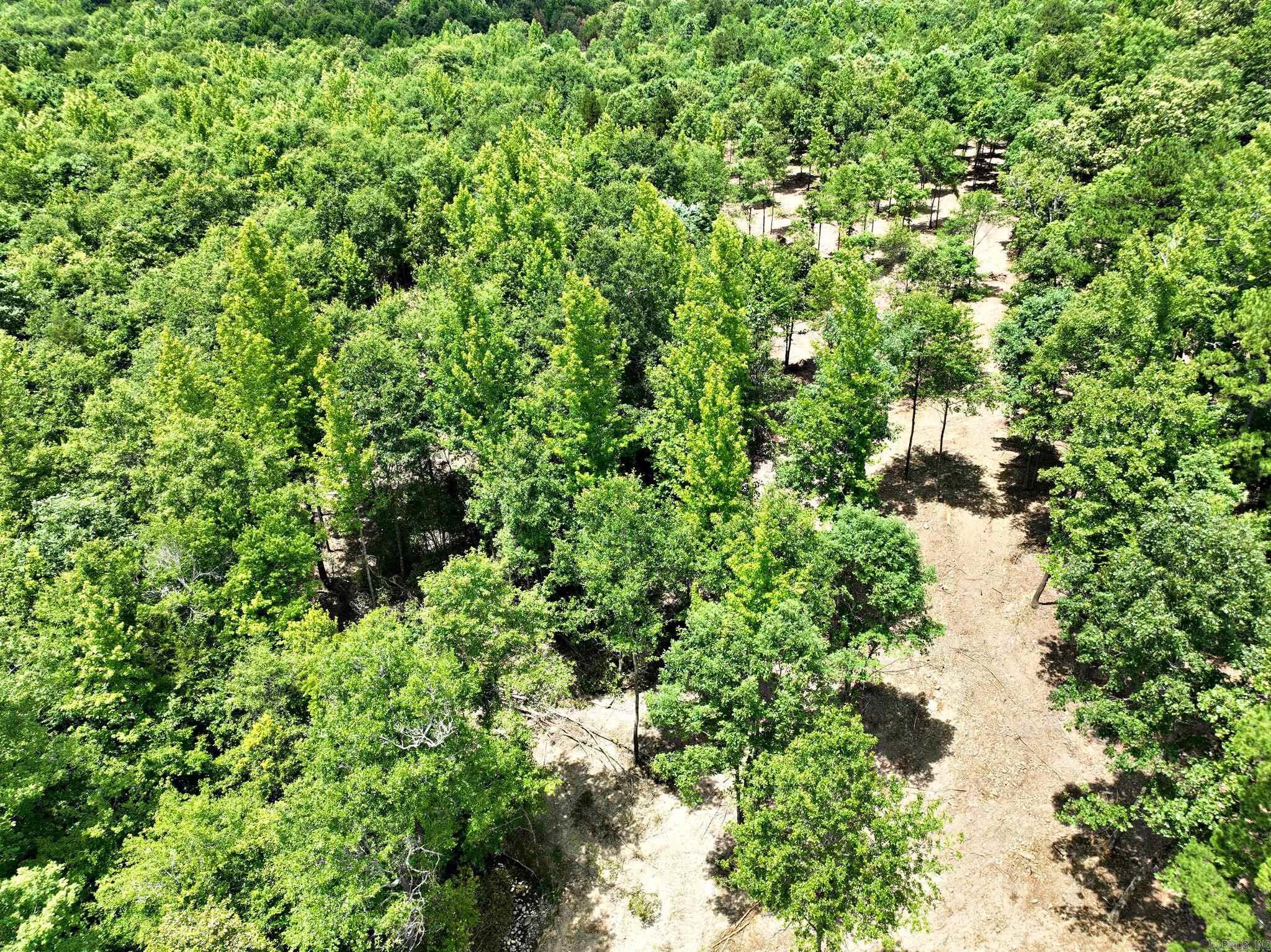 TBD, Tract 4  Polk Road 158  Mena, AR