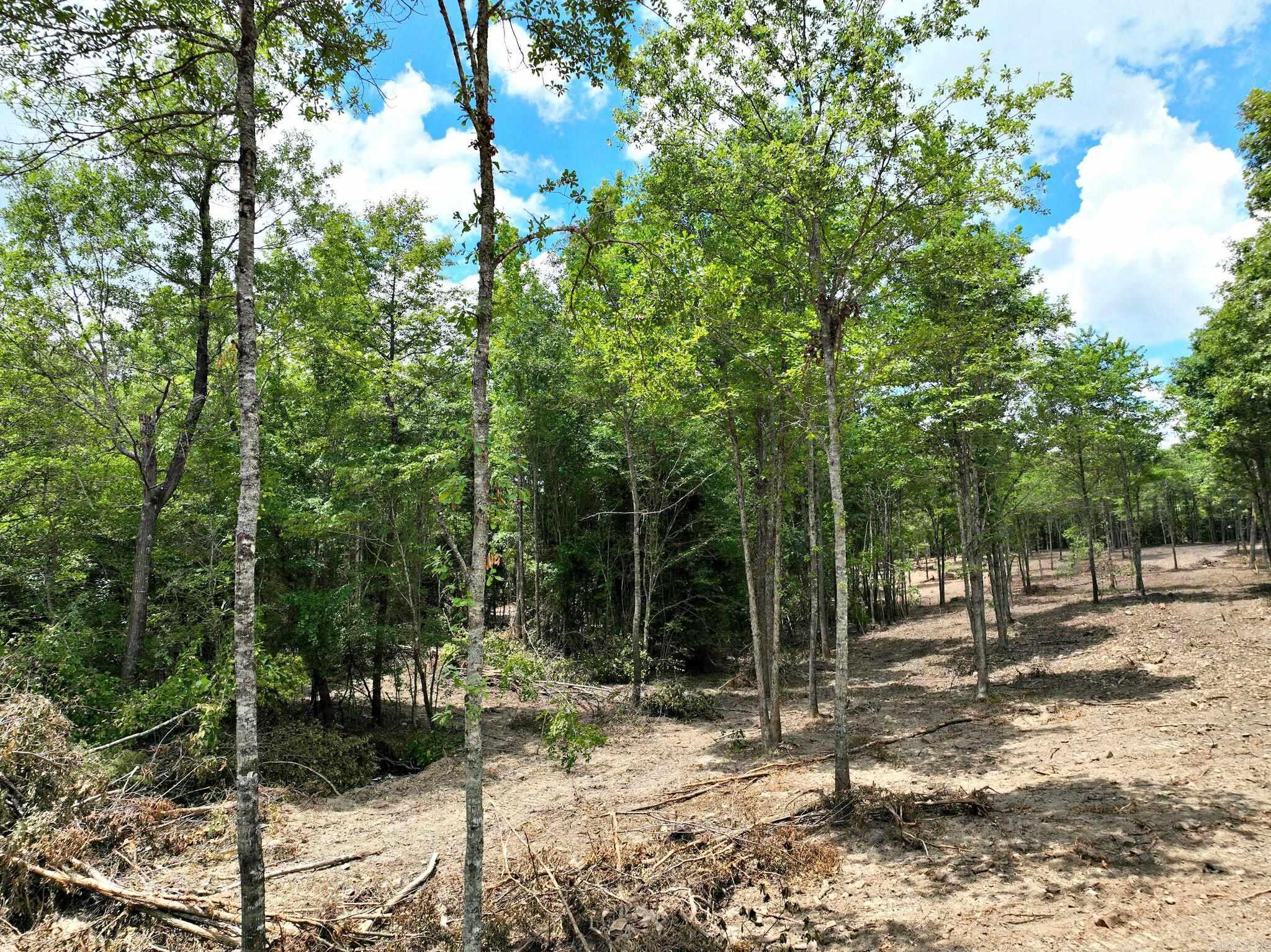 TBD, Tract 4  Polk Road 158  Mena, AR