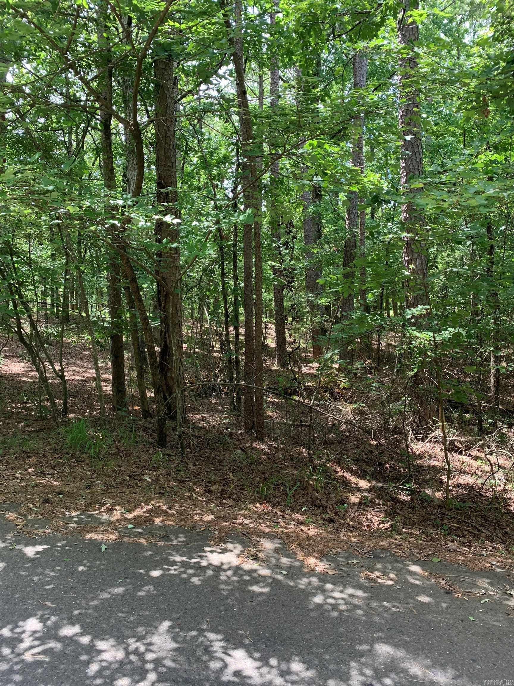 3  Sur  Hot Springs Village, AR