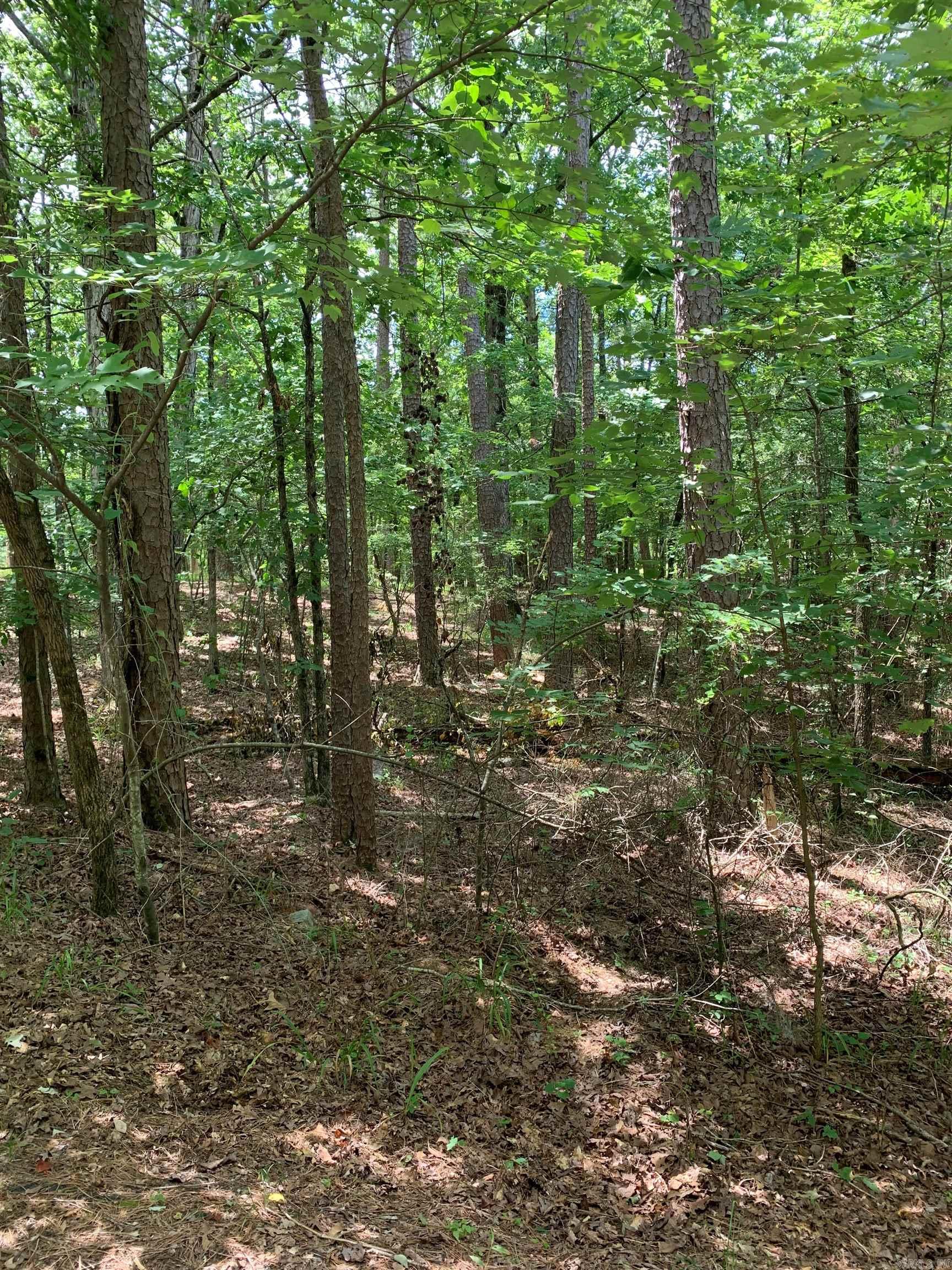 3  Sur  Hot Springs Village, AR