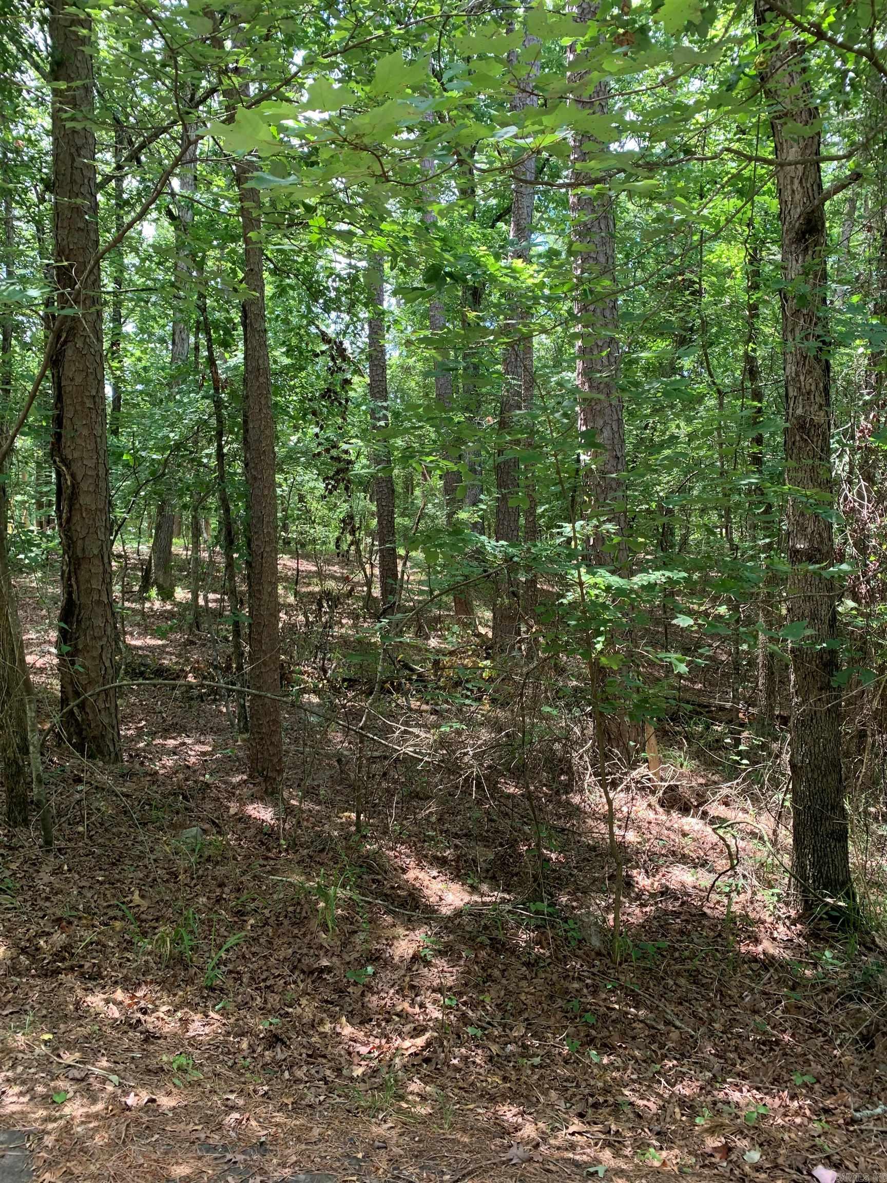 3  Sur  Hot Springs Village, AR