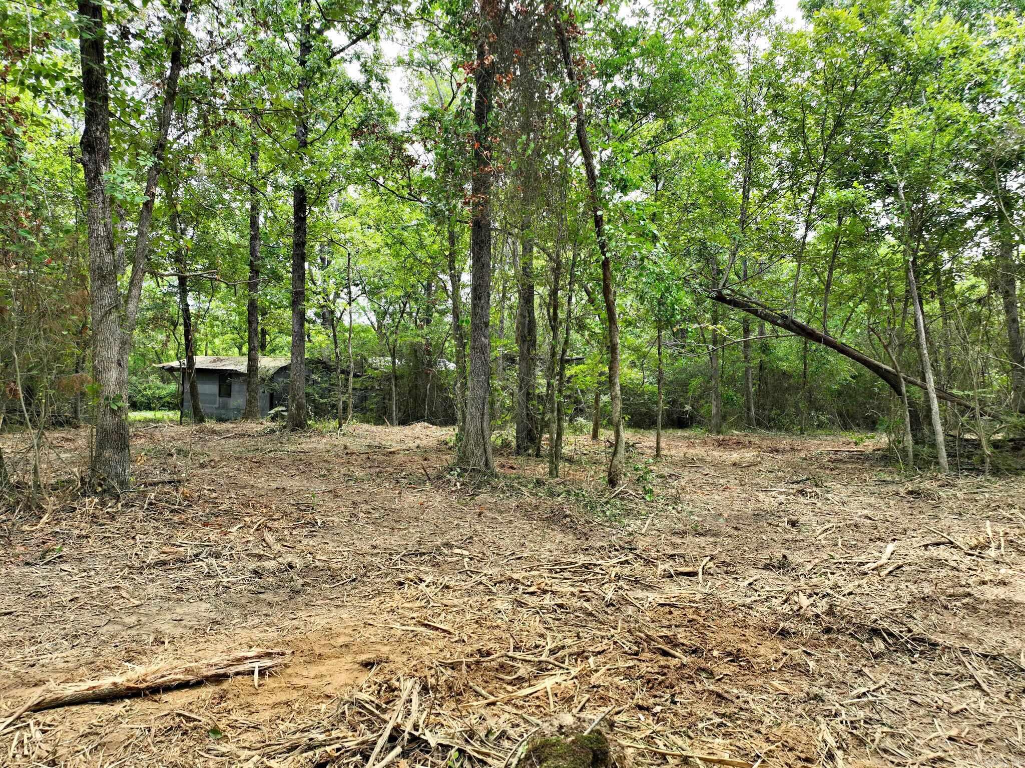 TBD  West Boundary  Mena, AR