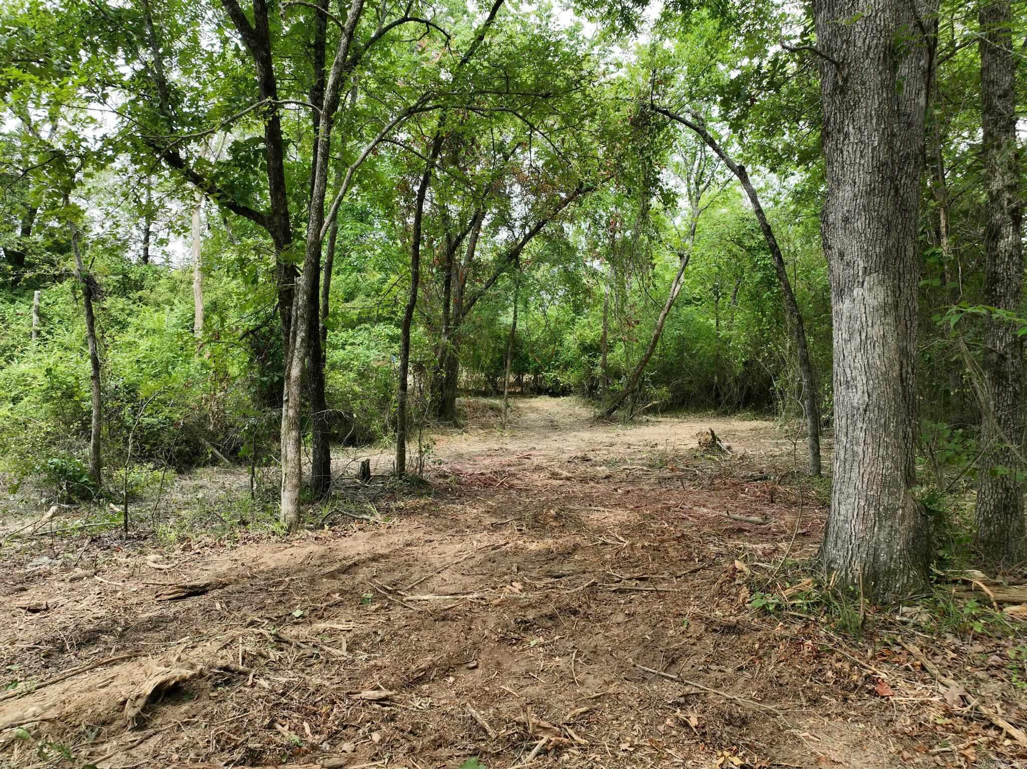 TBD  West Boundary  Mena, AR
