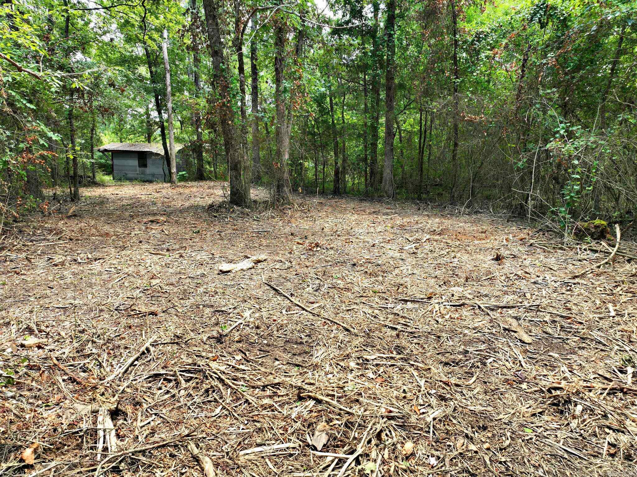 TBD  West Boundary  Mena, AR