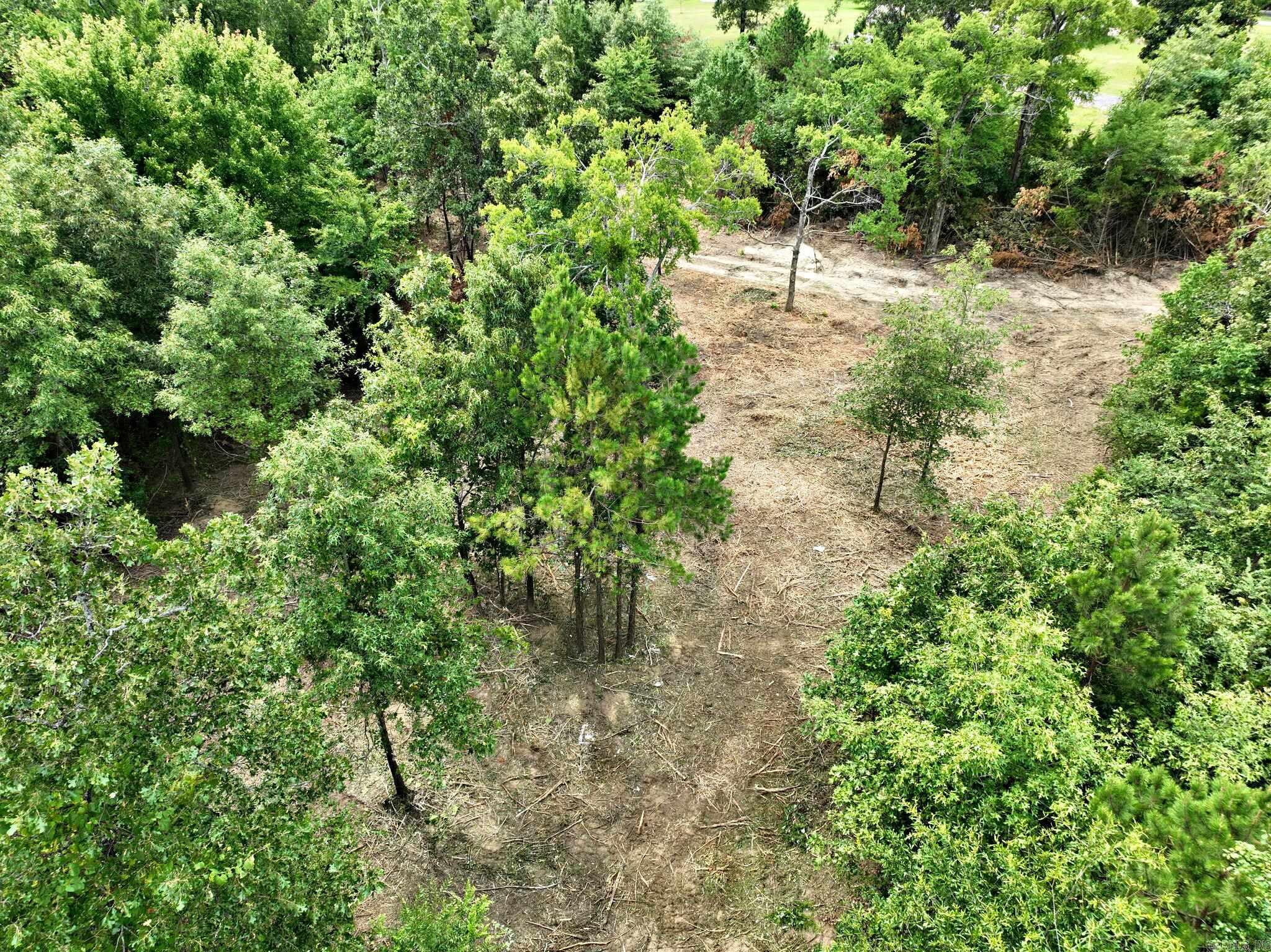 TBD  West Boundary  Mena, AR