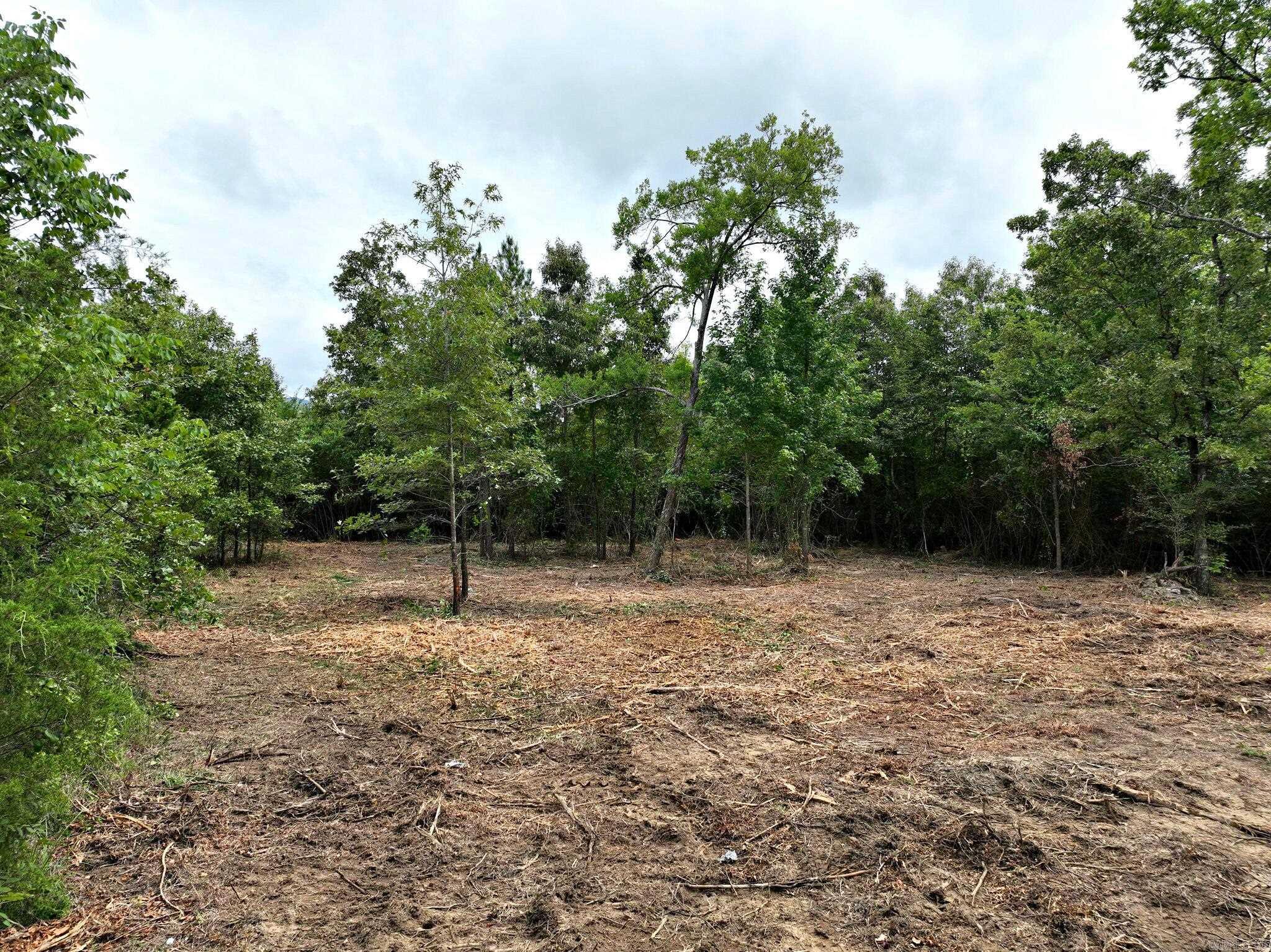 TBD  West Boundary  Mena, AR