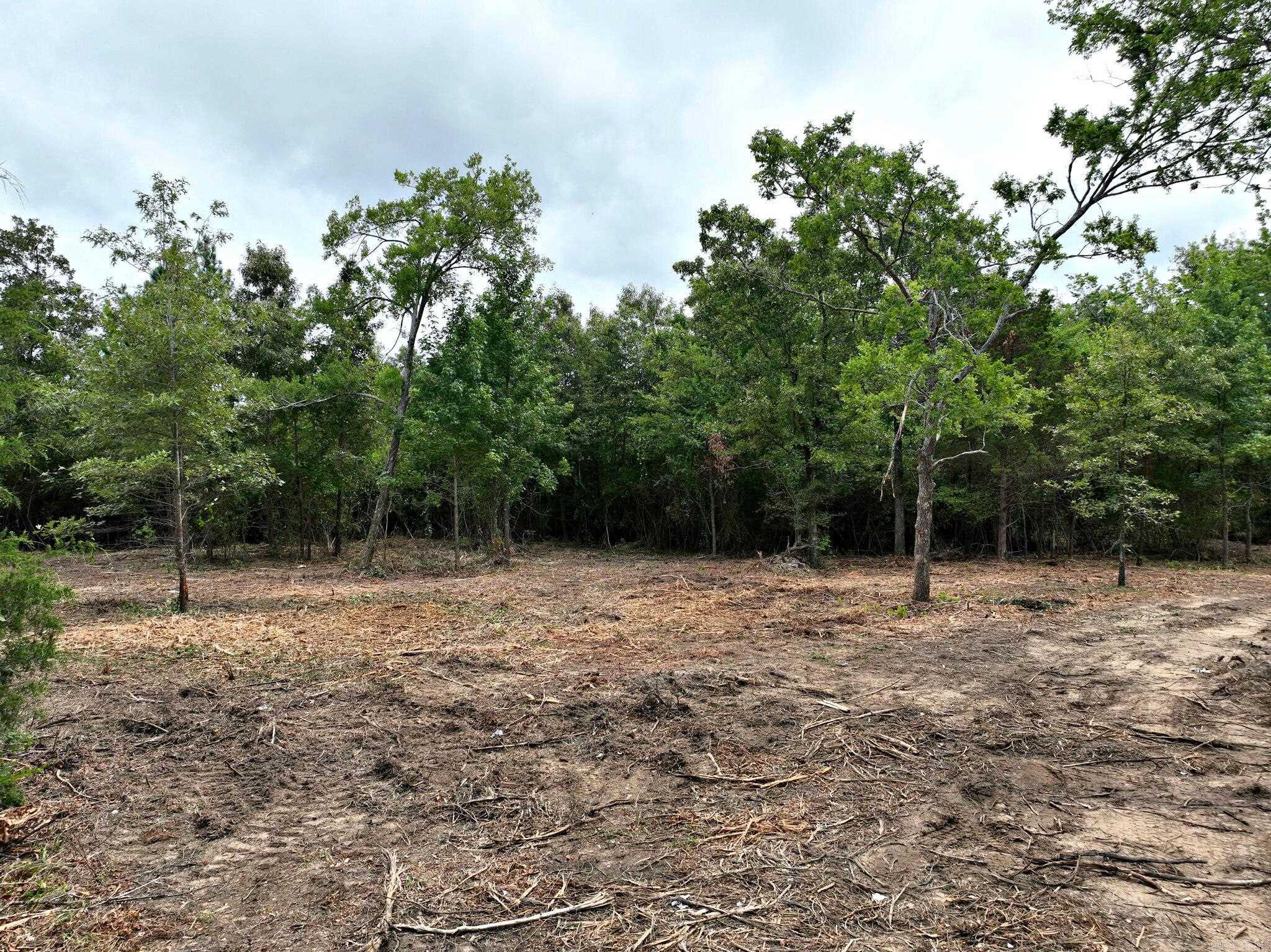 TBD  West Boundary  Mena, AR