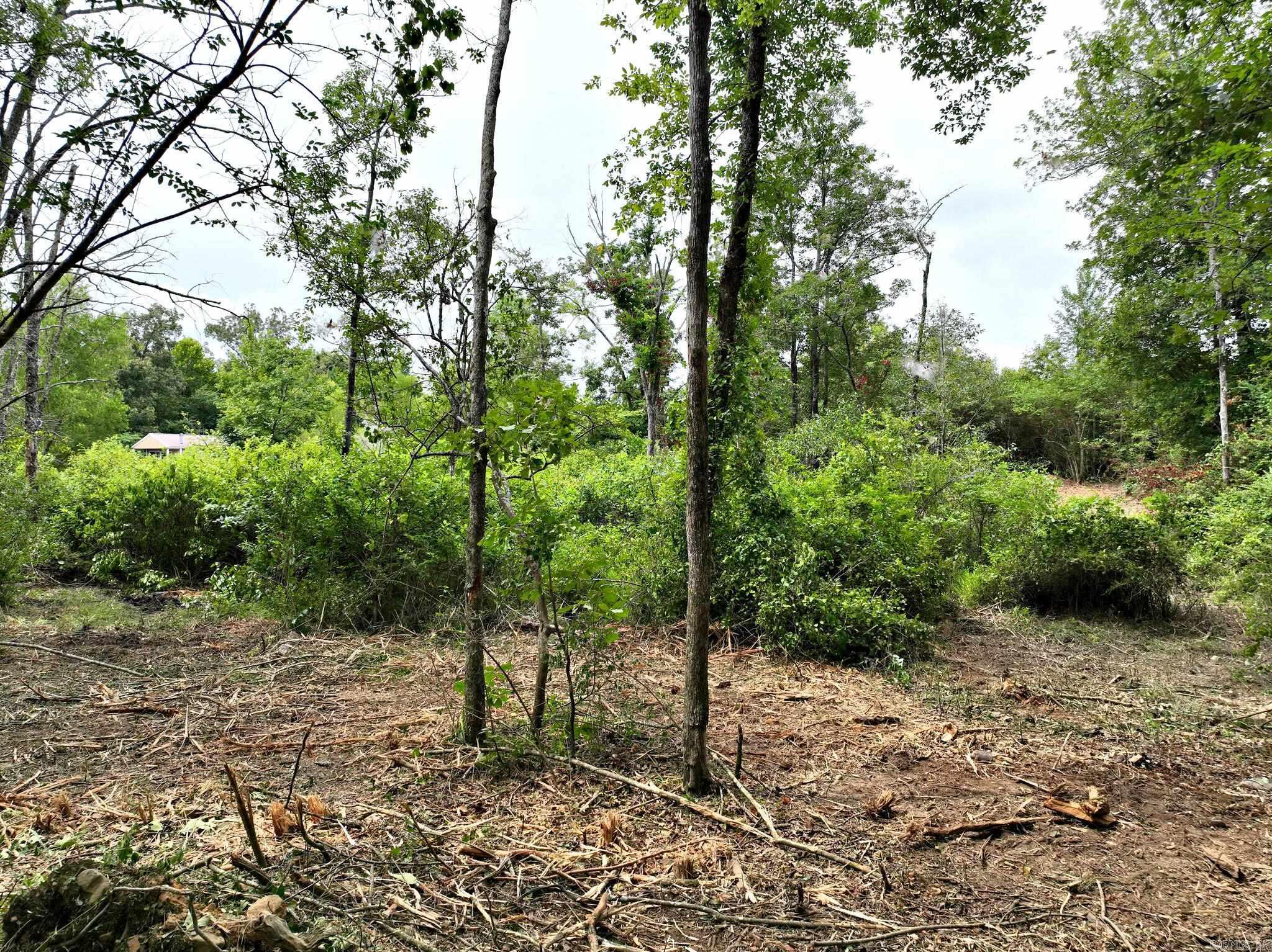 TBD  West Boundary  Mena, AR