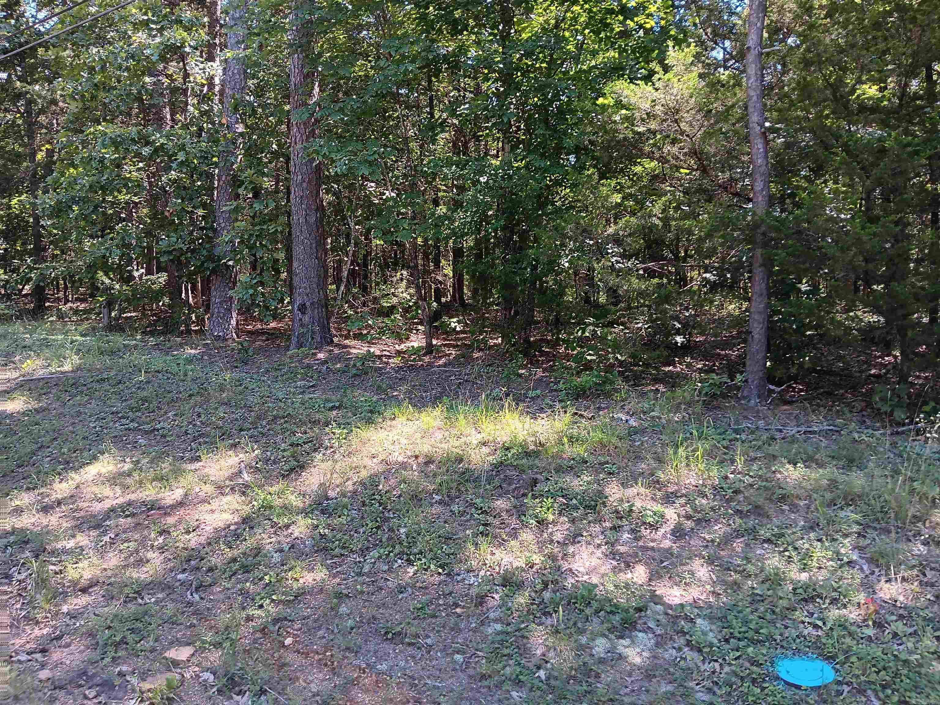 123  Robinhood  Fairfield Bay, AR