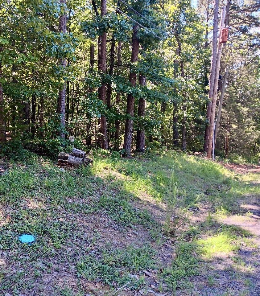 123  Robinhood  Fairfield Bay, AR