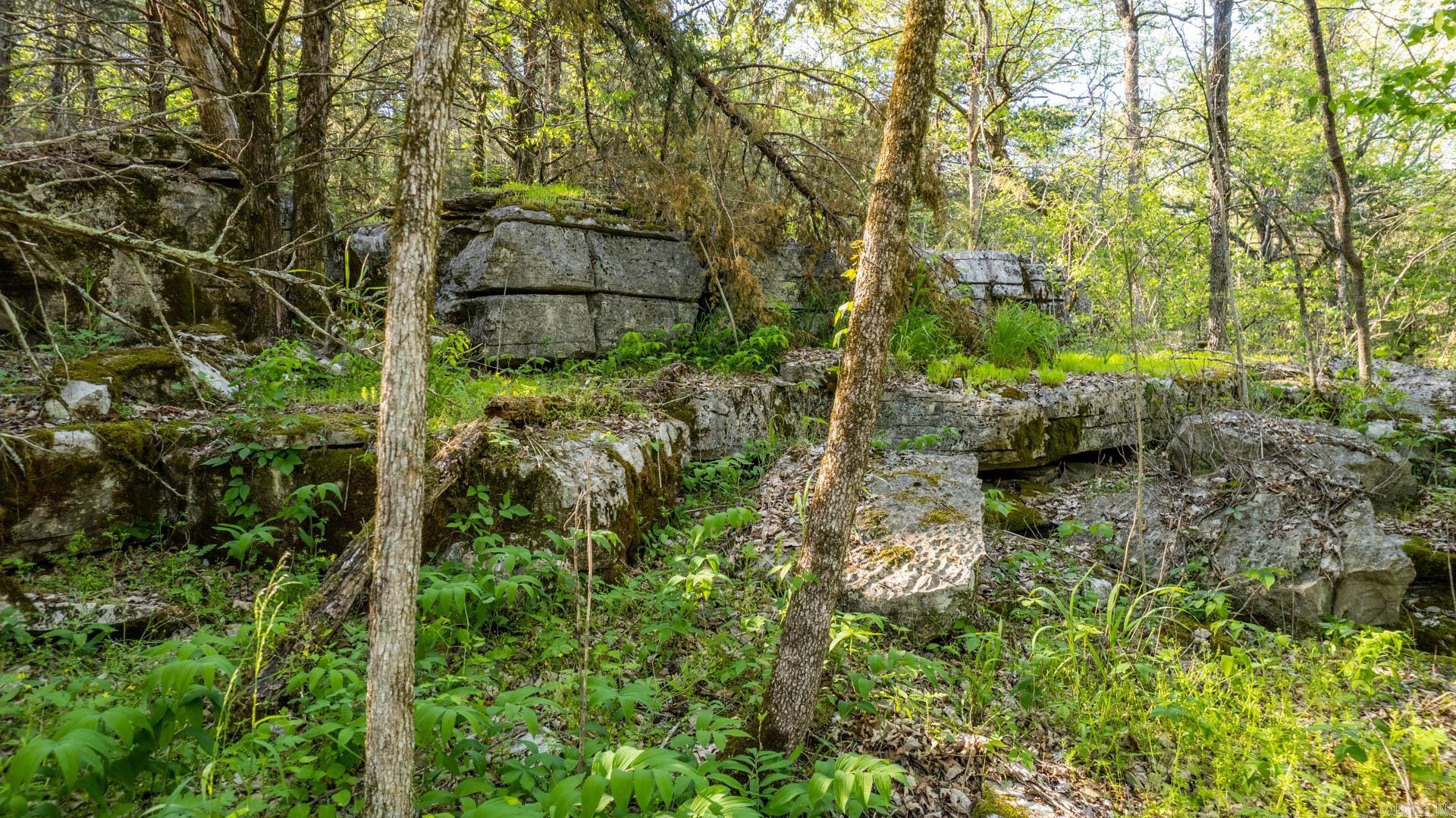 4103  River  Guion, AR