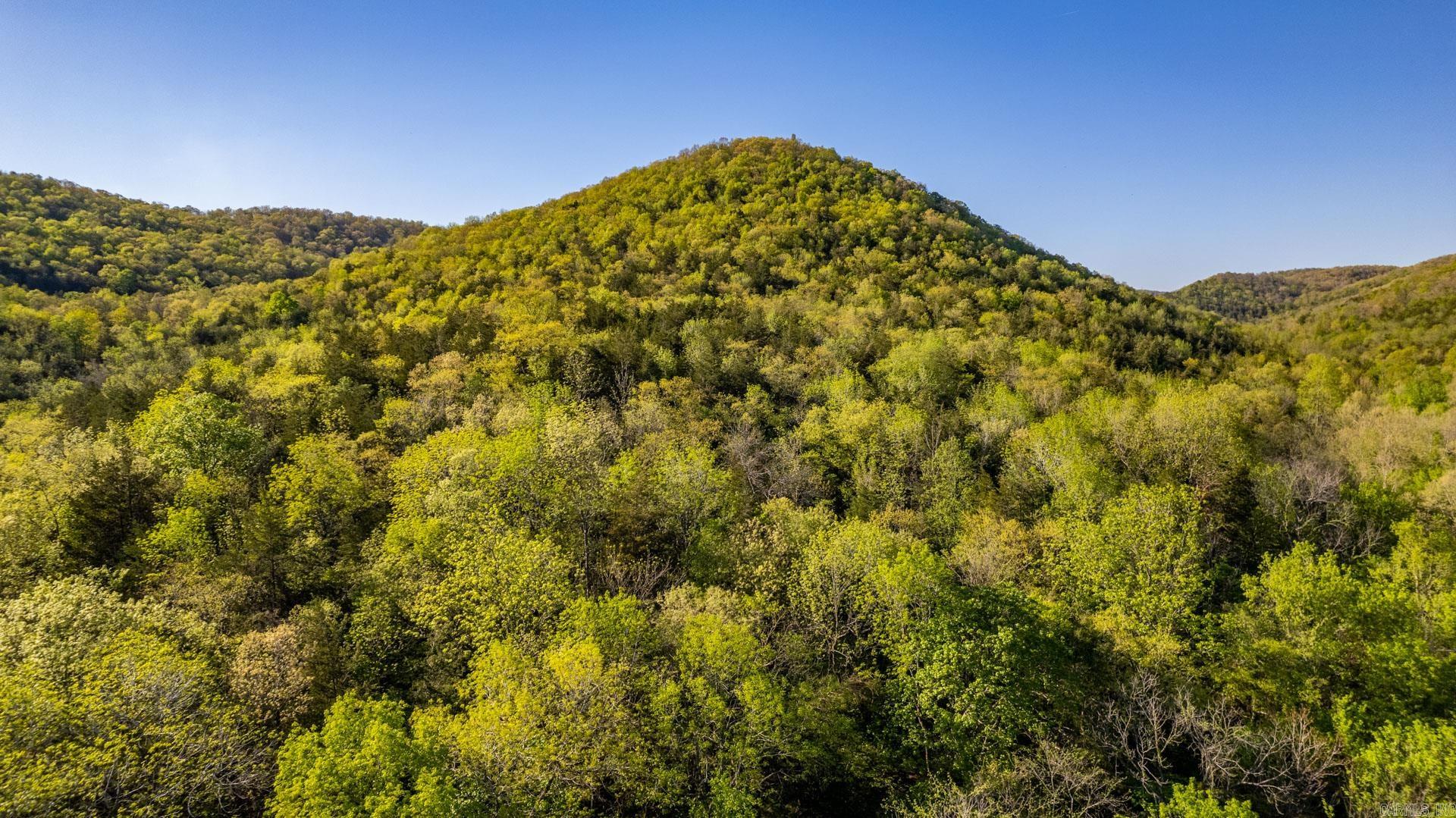 4103  River  Guion, AR