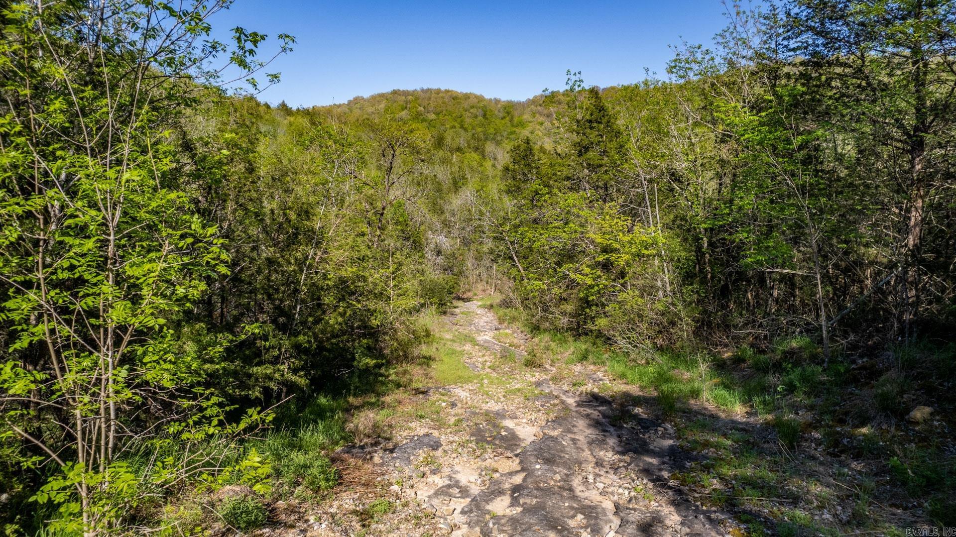 4103  River  Guion, AR