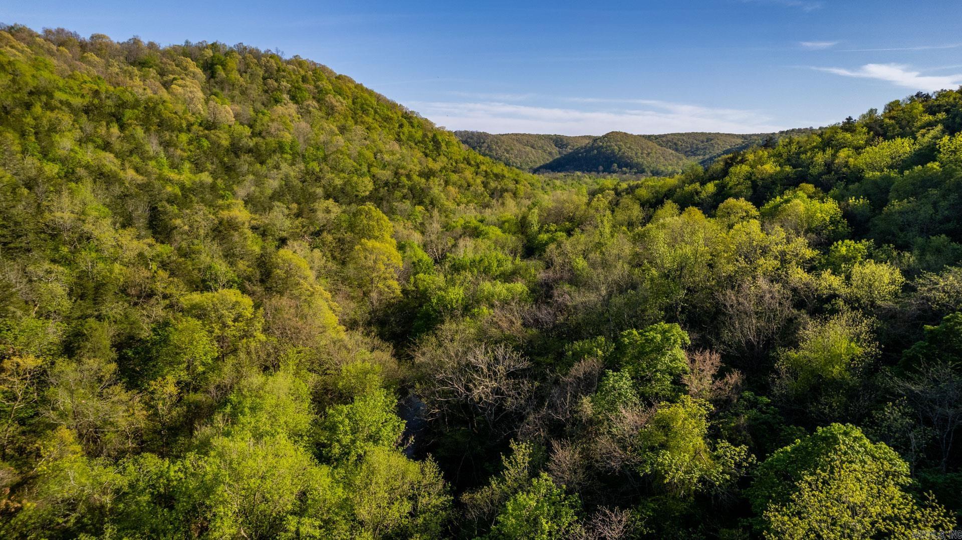 4103  River  Guion, AR