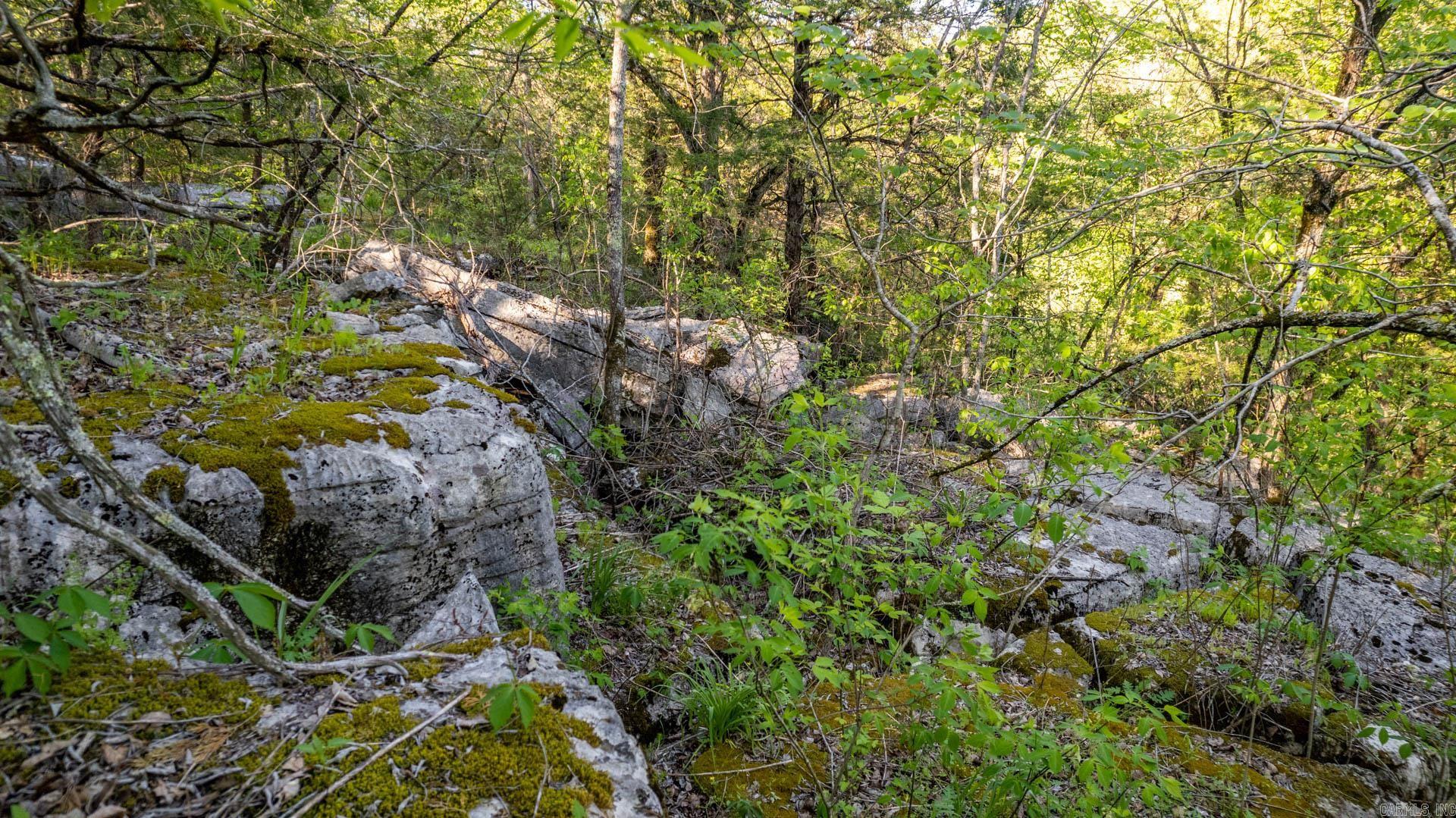 4103  River  Guion, AR
