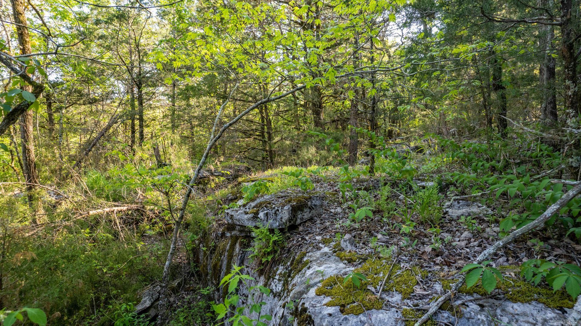 4103  River  Guion, AR