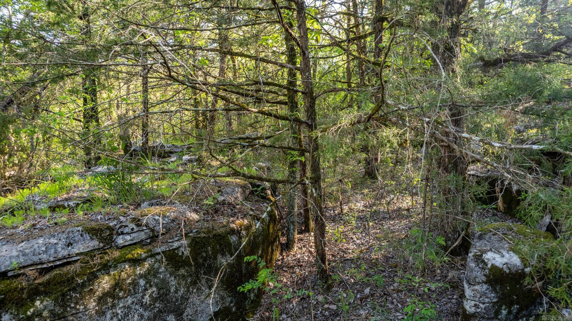 4103  River  Guion, AR