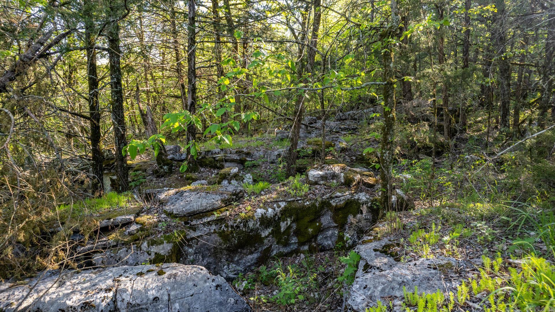 4103  River  Guion, AR
