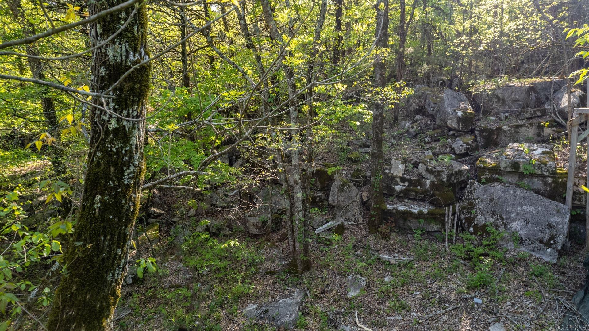 4103  River  Guion, AR